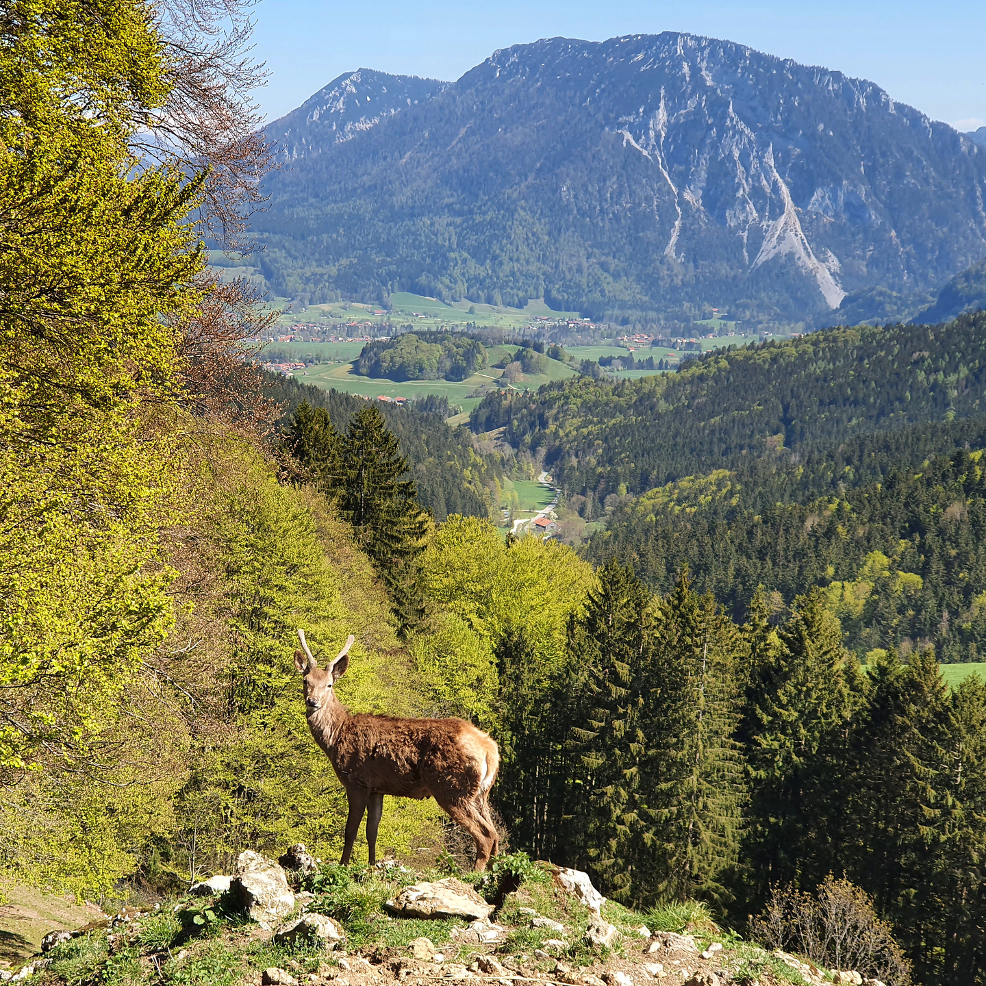 coronix-ruhpolding5.jpg