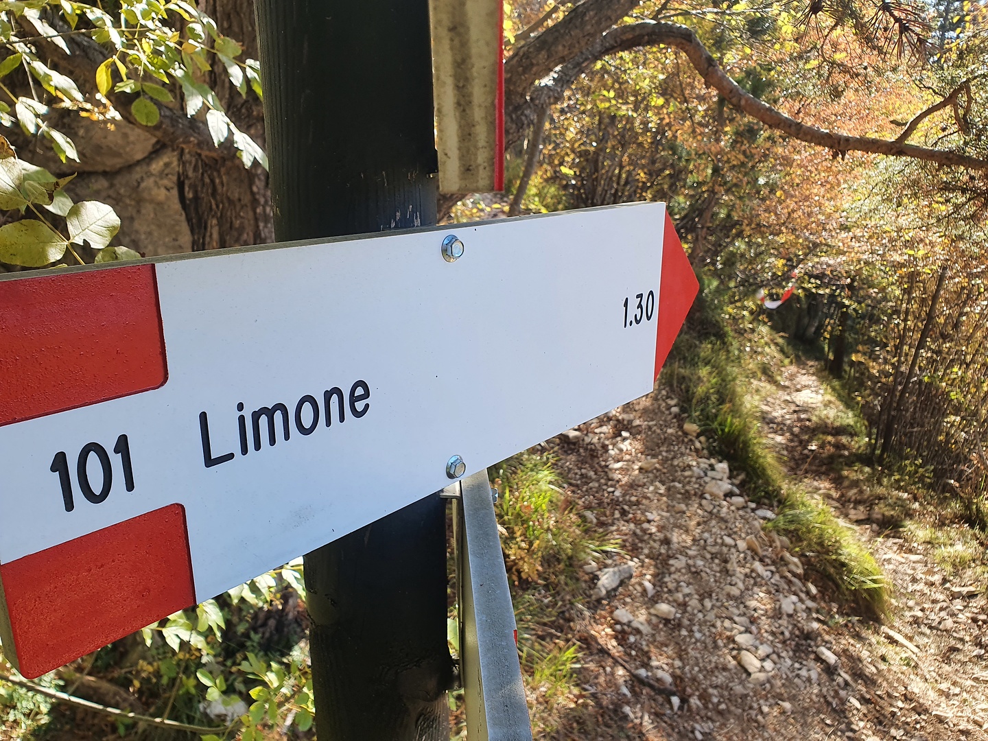 limone101-trail1.jpg