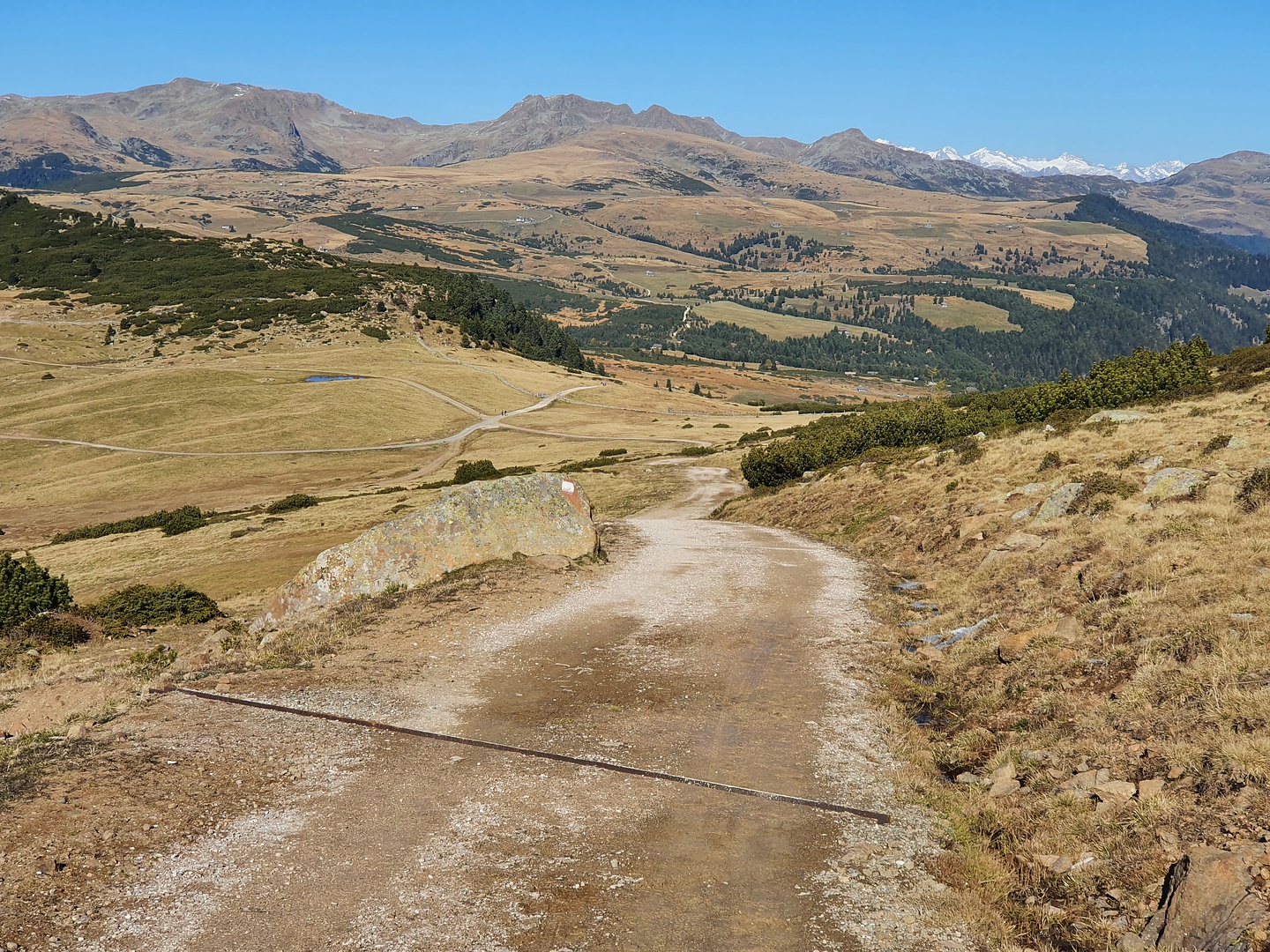 rittnerhorn-trail0.jpg