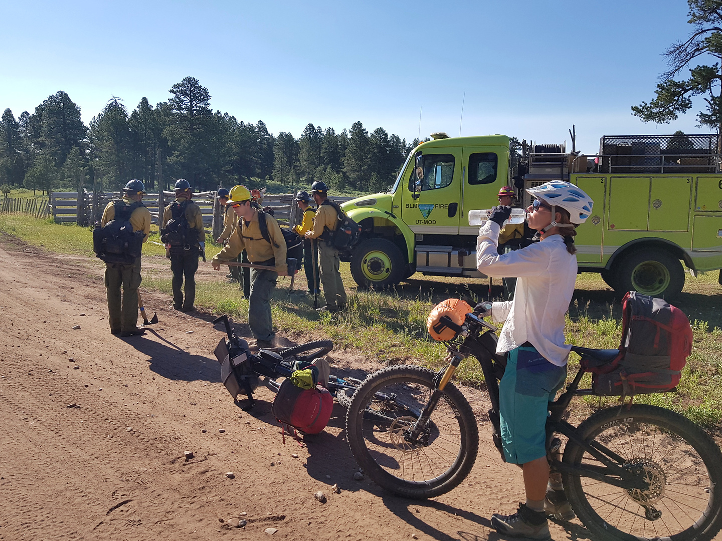 bearsears-firemen1.jpg