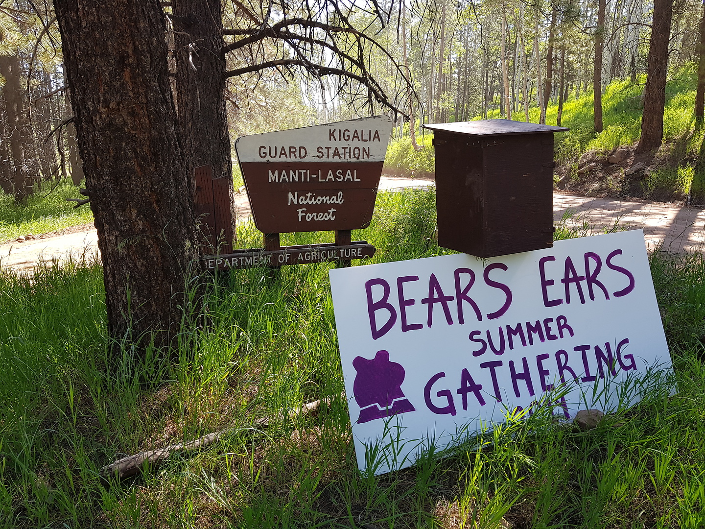 bearsears-gathering1.jpg