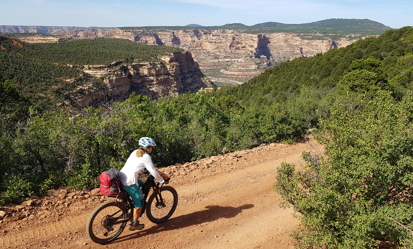 bearsears-road3.jpg