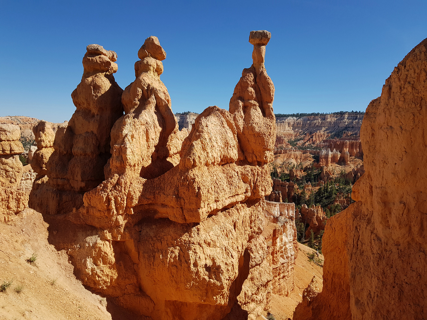 bryce-hike10.jpg