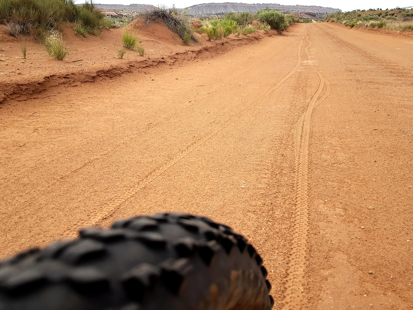 capitolreef-sandytracks.jpg