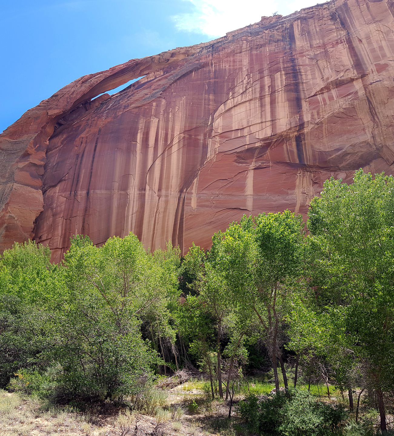 escalante-river4.jpg