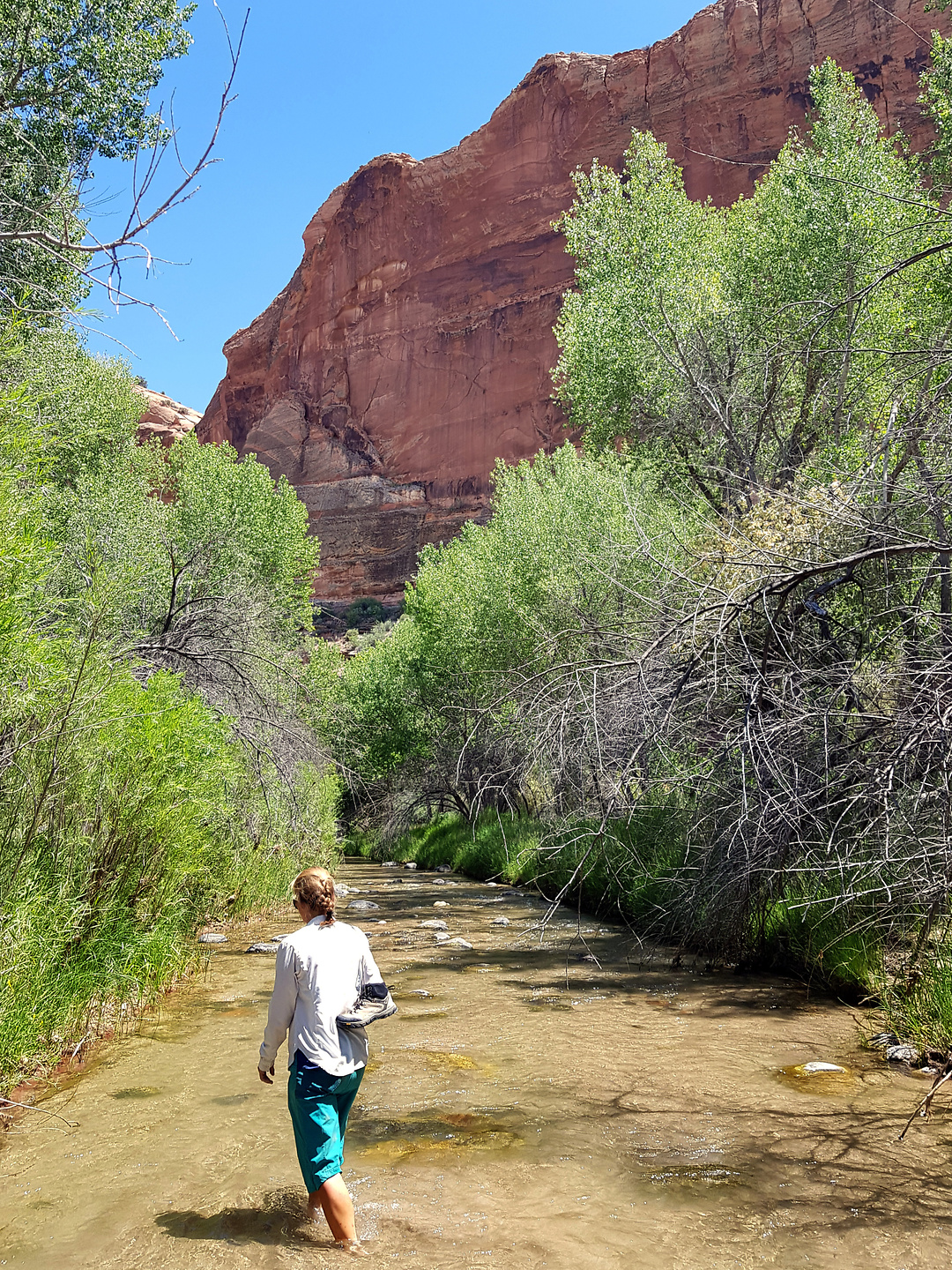 escalante-river5.jpg