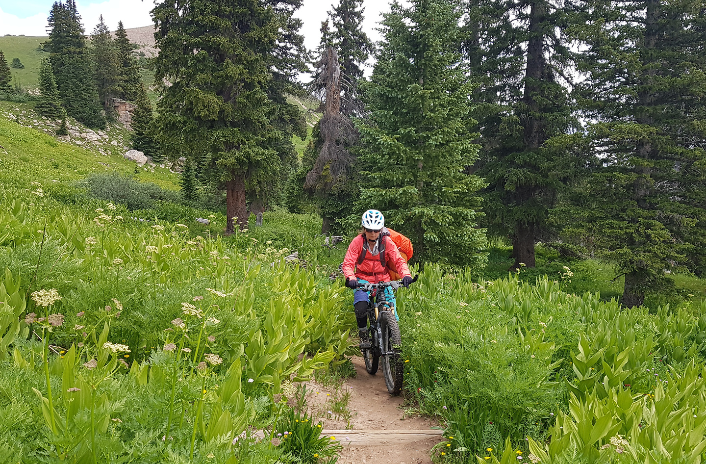 grizzly-uphill1.jpg