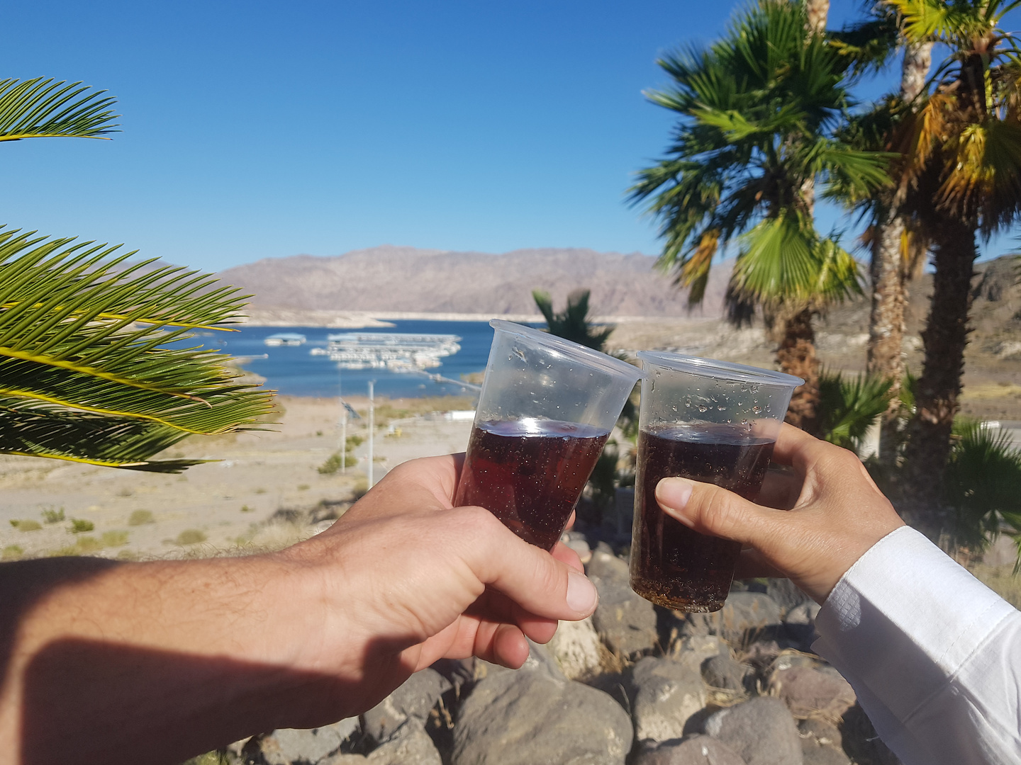 lakemead-coke.jpg