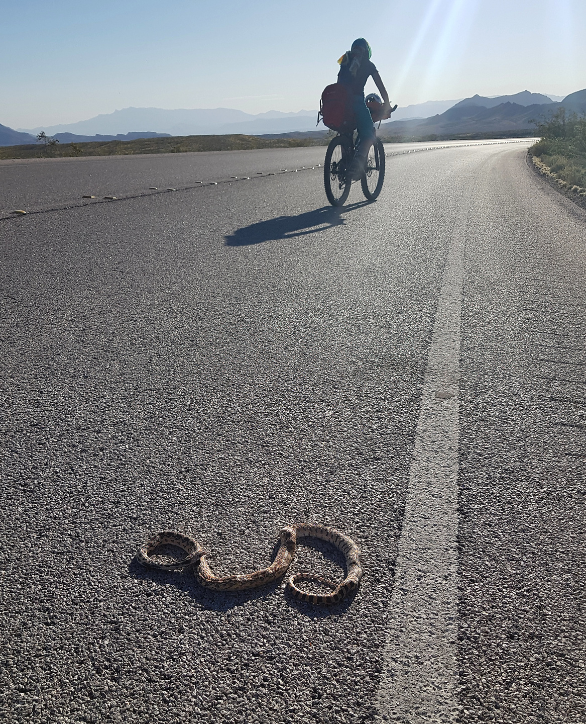 lakemead-snake2.jpg