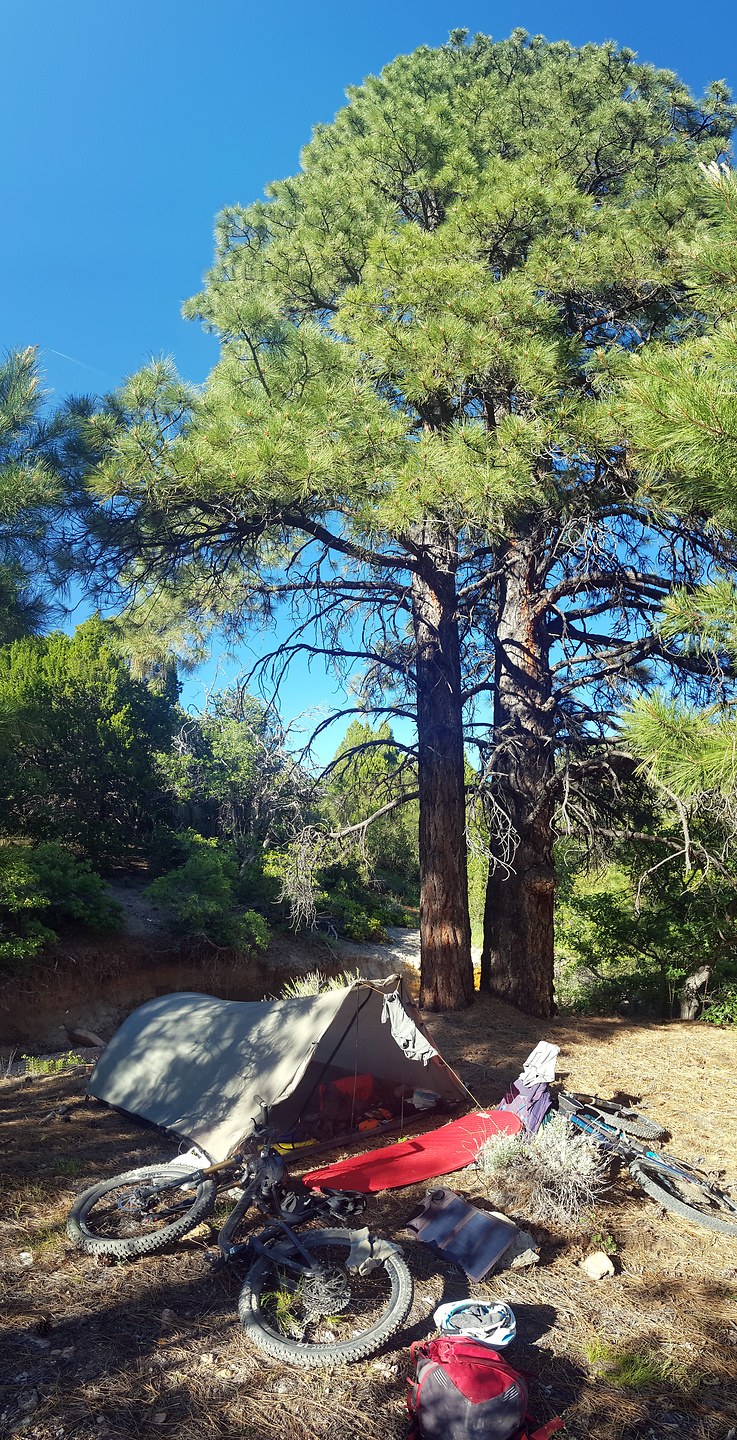 millcreek-camp2.jpg