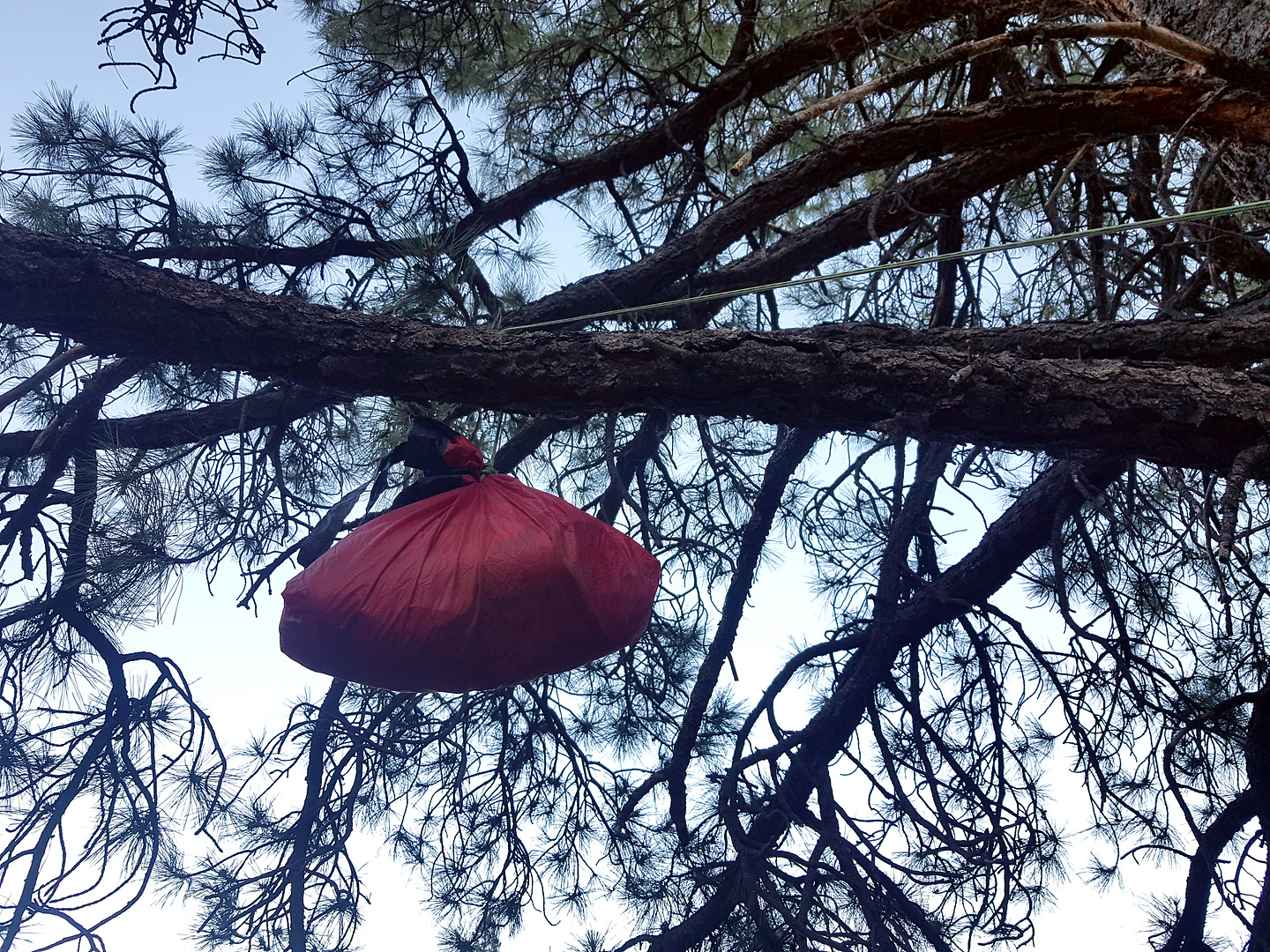 millcreek-foodhanging.jpg