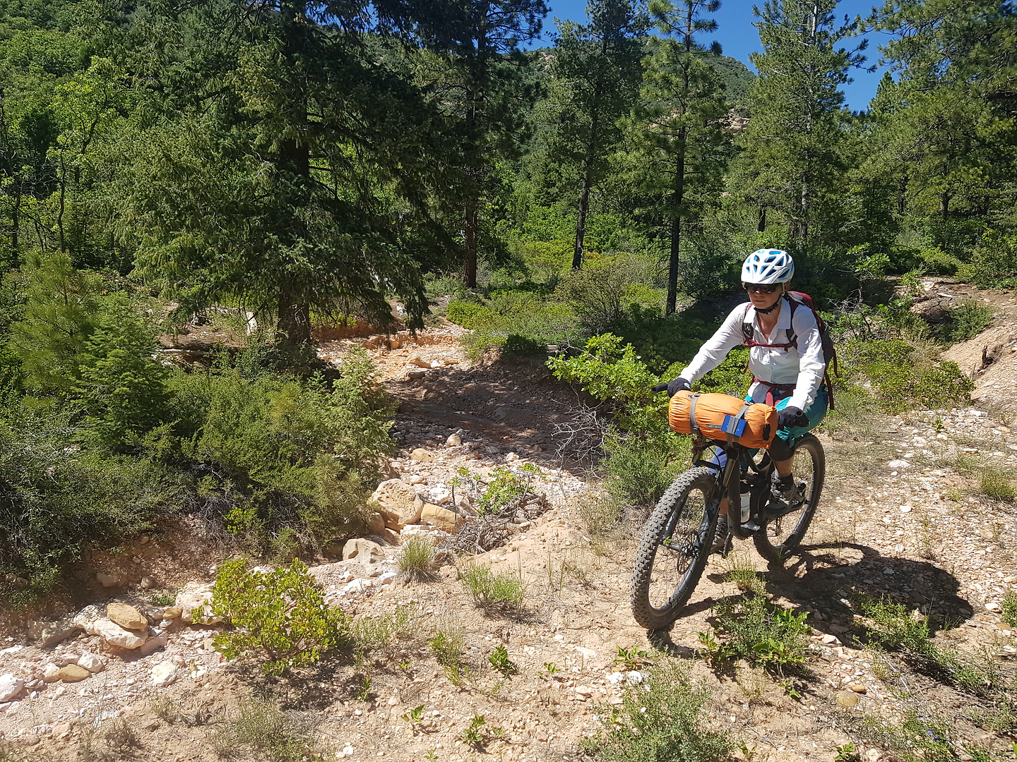 millcreek-watersearch1.jpg