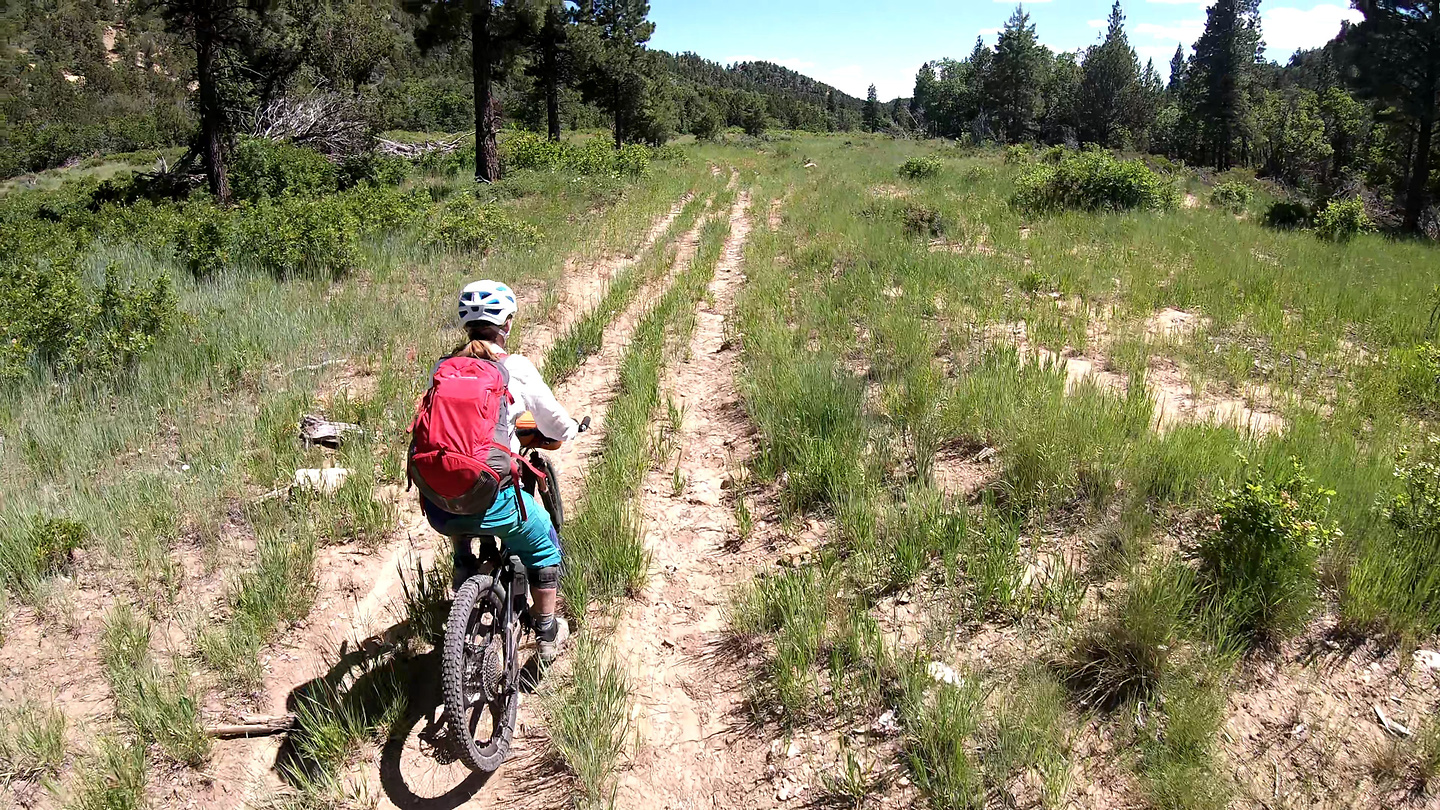 millcreek-watersearch2.jpg