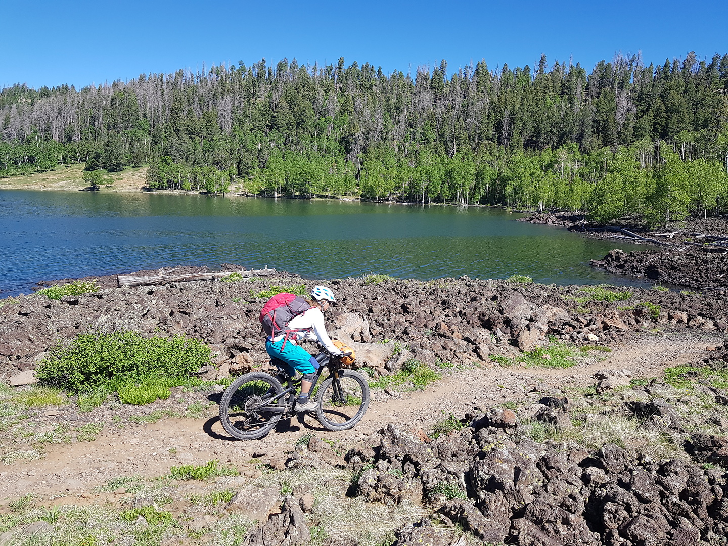 navajolake-trail3.jpg