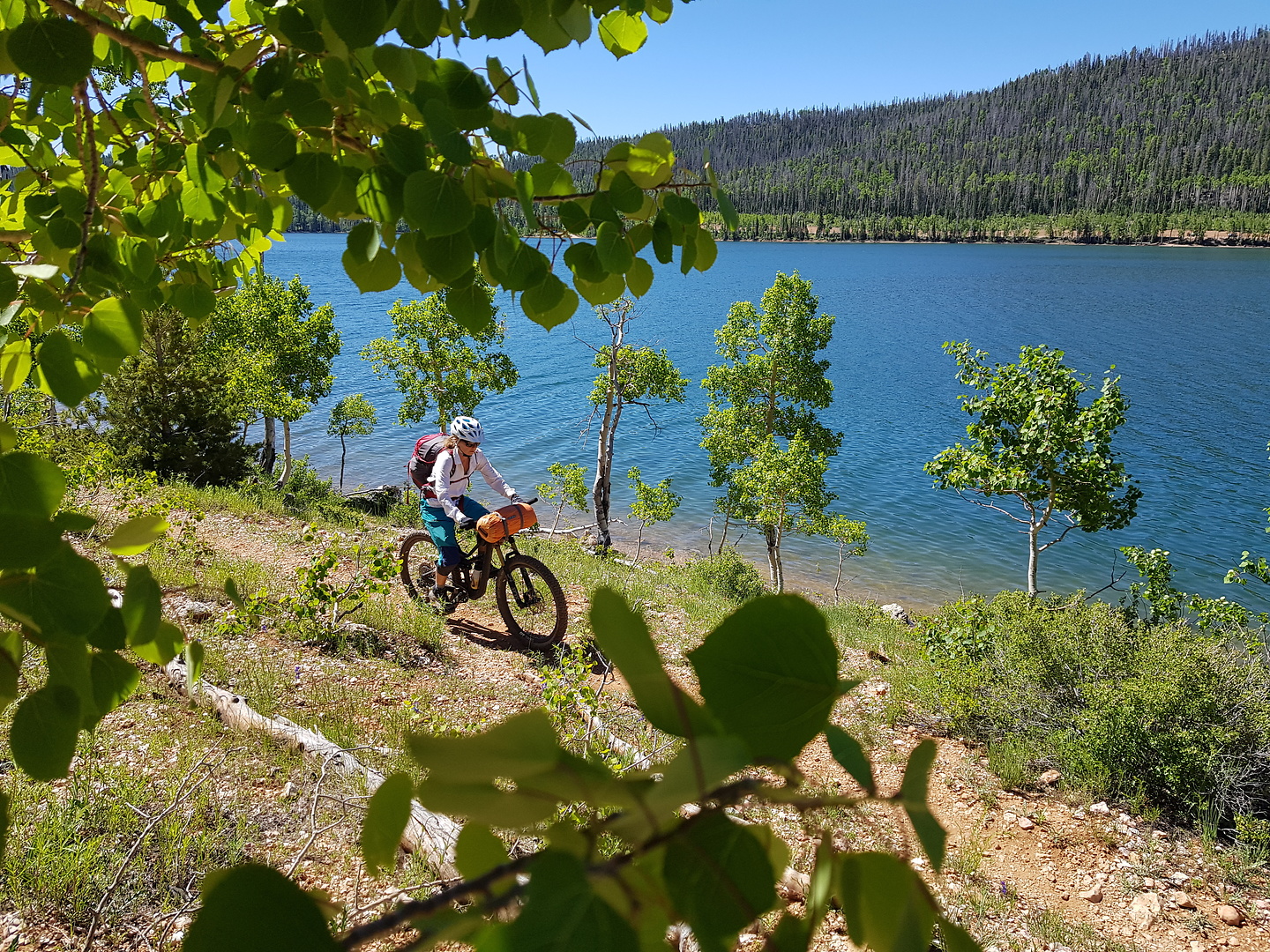 navajolake-trail6.jpg