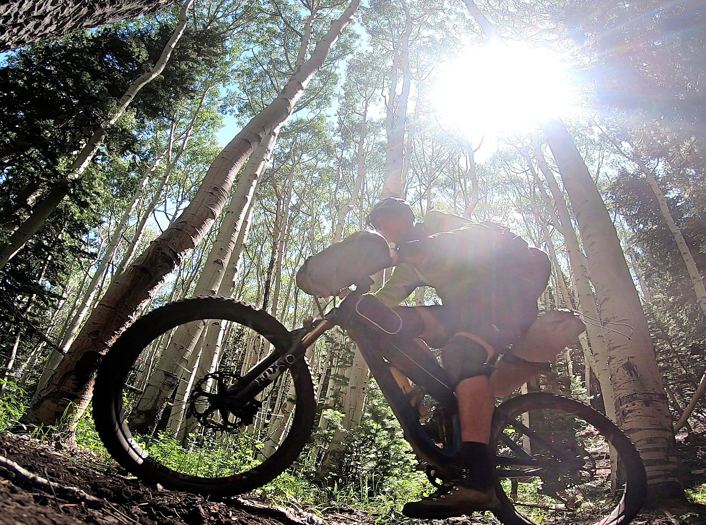 robertson-trail7.jpg