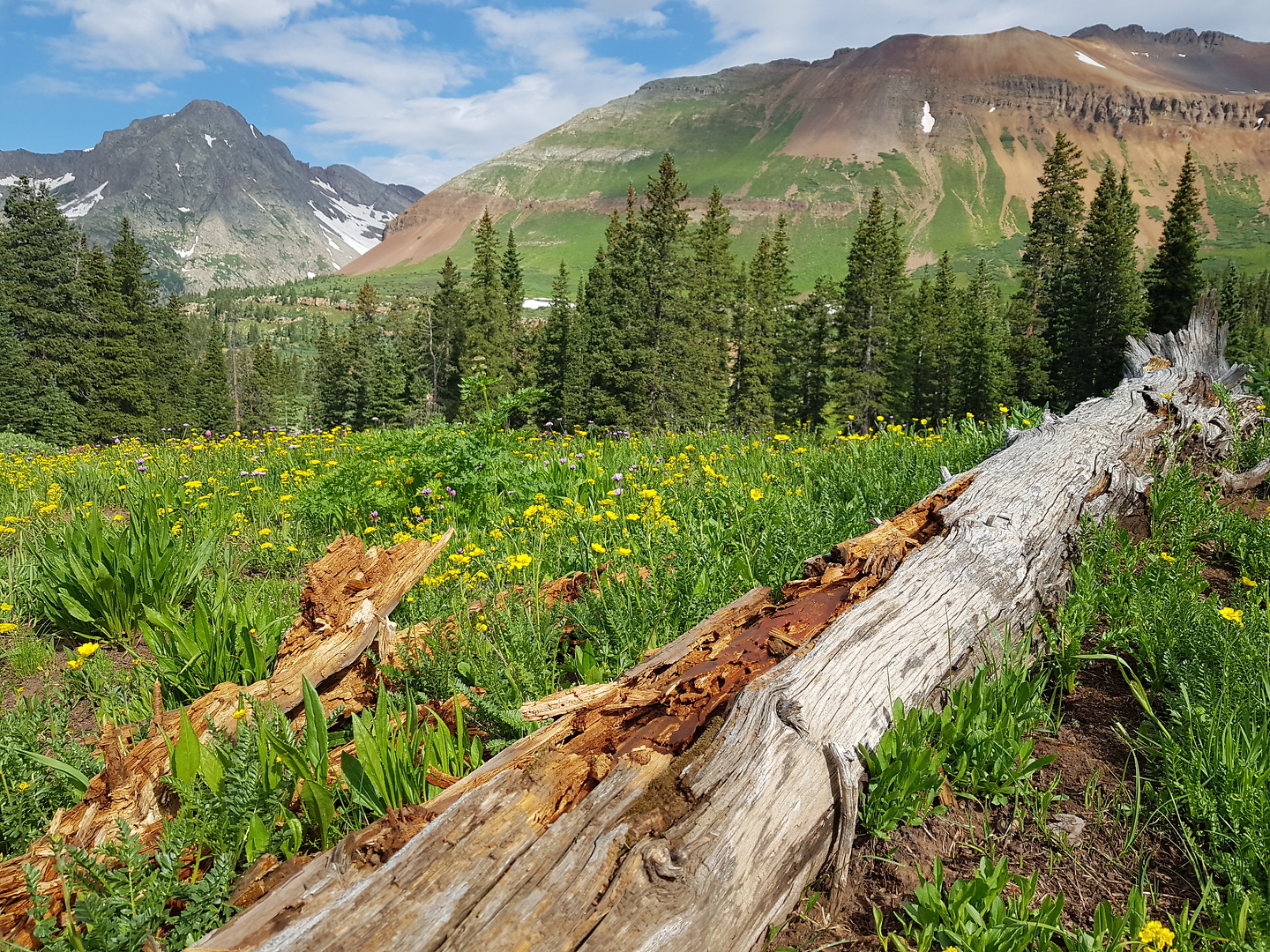 rollingmountain-trail8.jpg