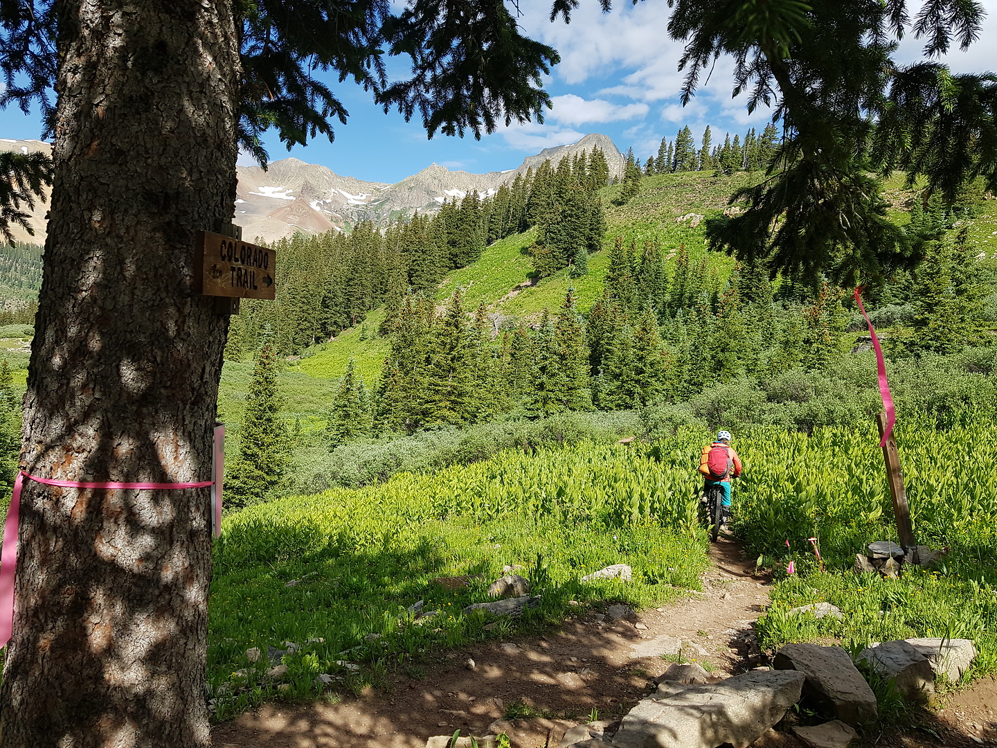 rollingmountain-trail9.jpg