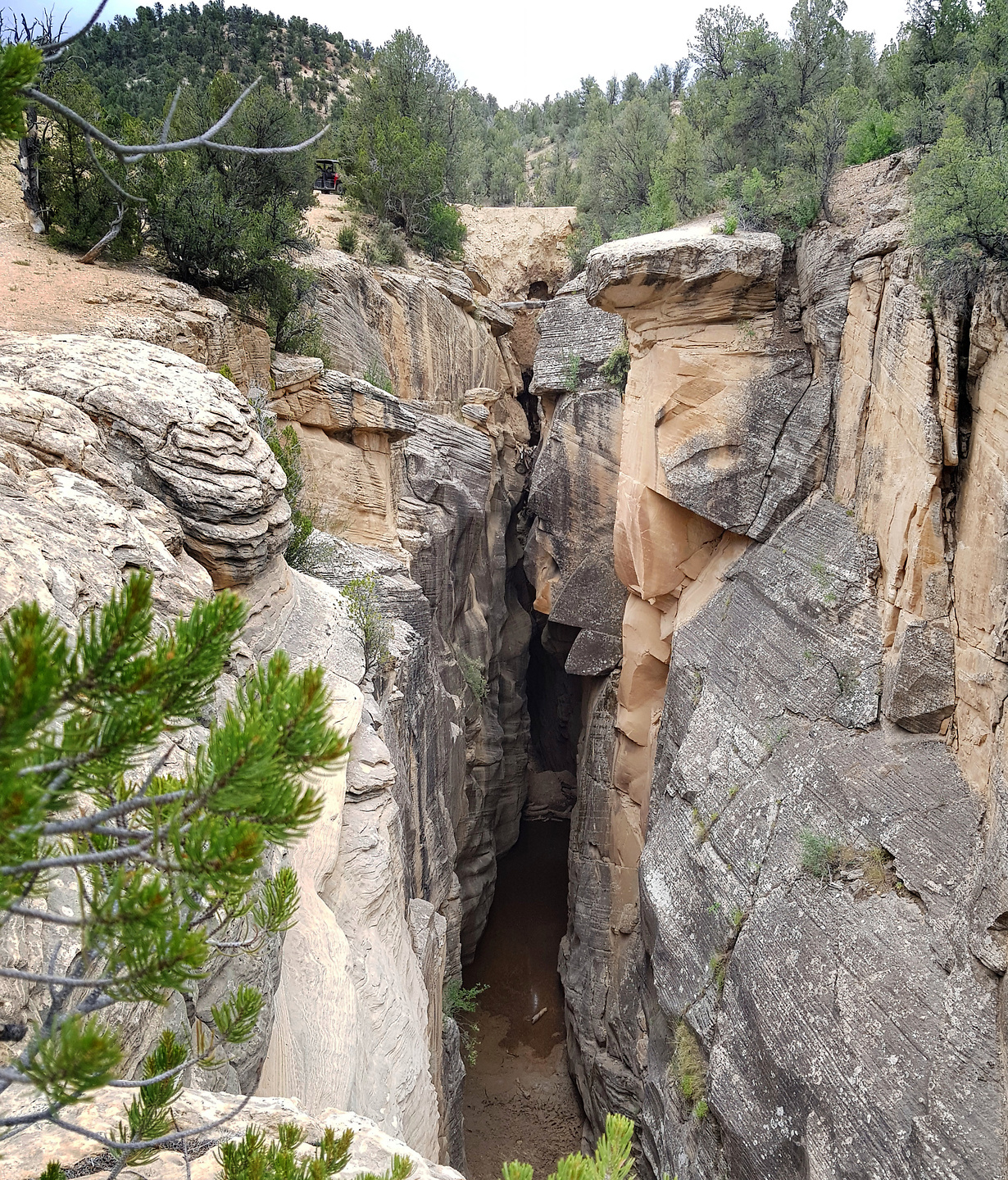 skutumpah-bullgorge1.jpg