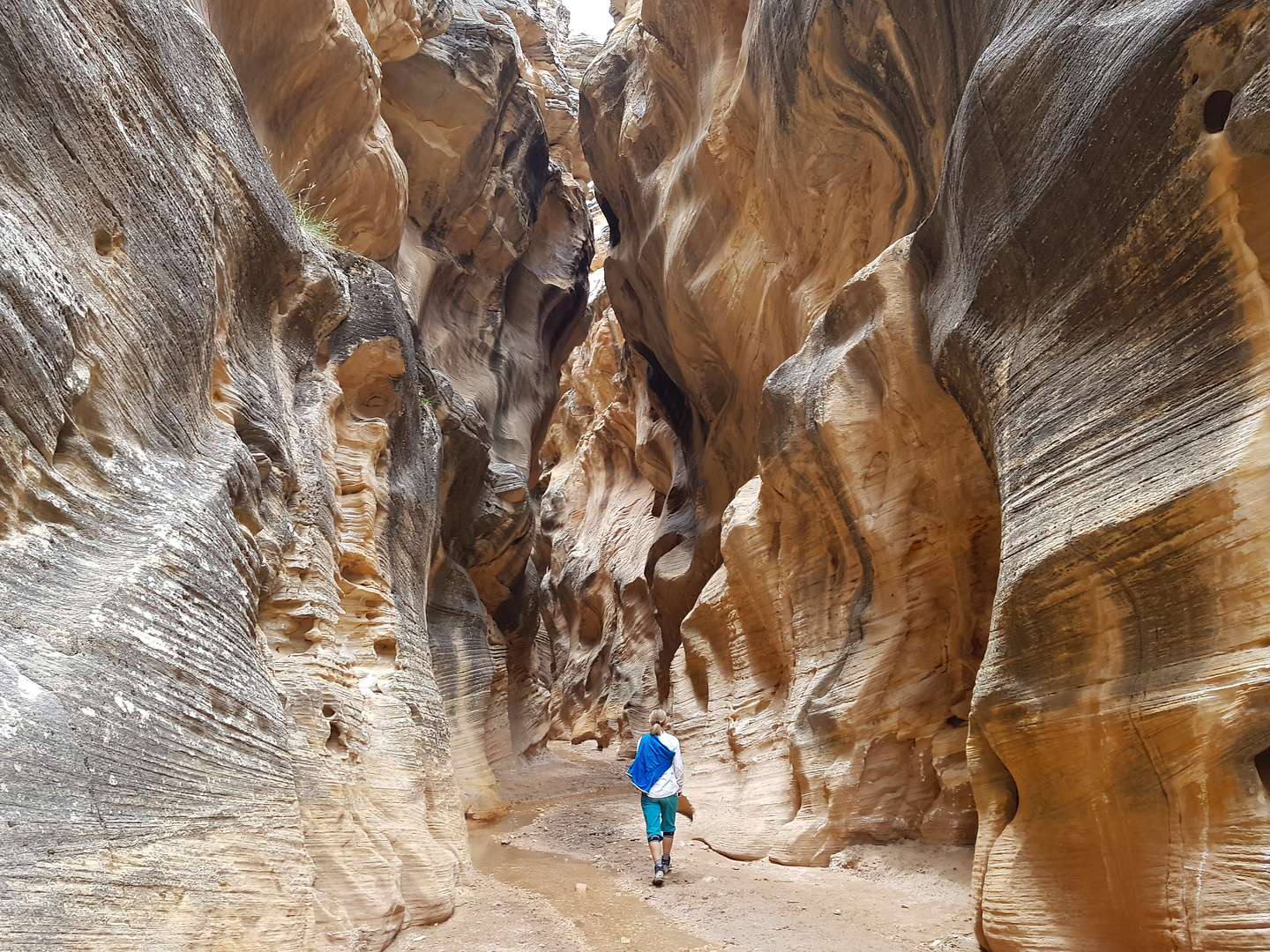 skutumpah-williscanyon3.jpg