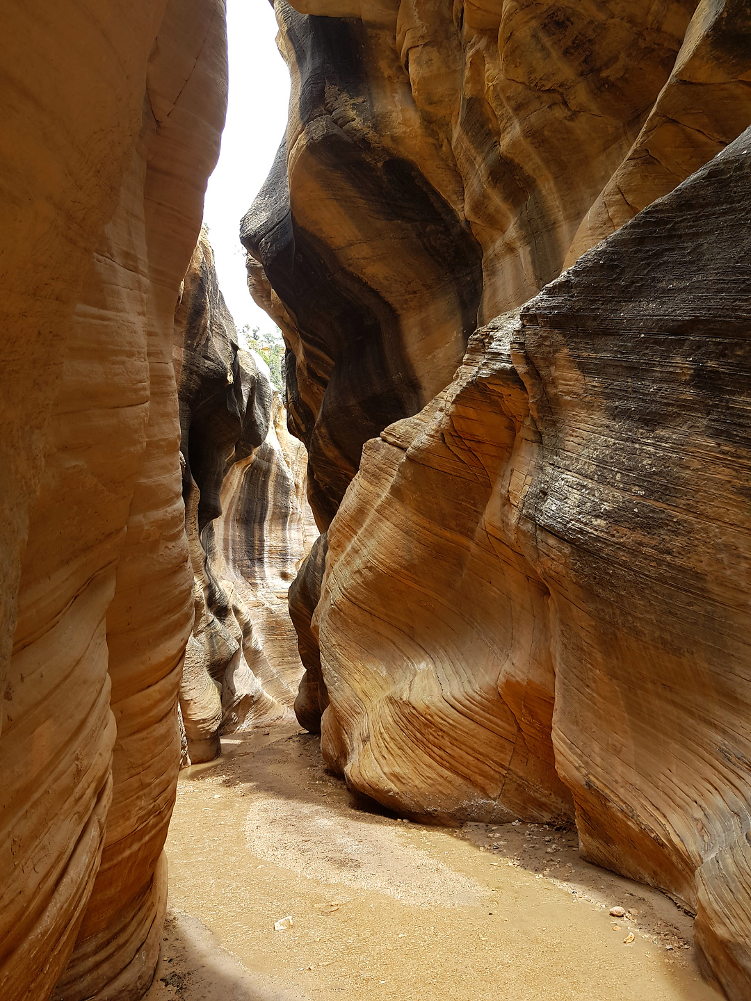 skutumpah-williscanyon4.jpg