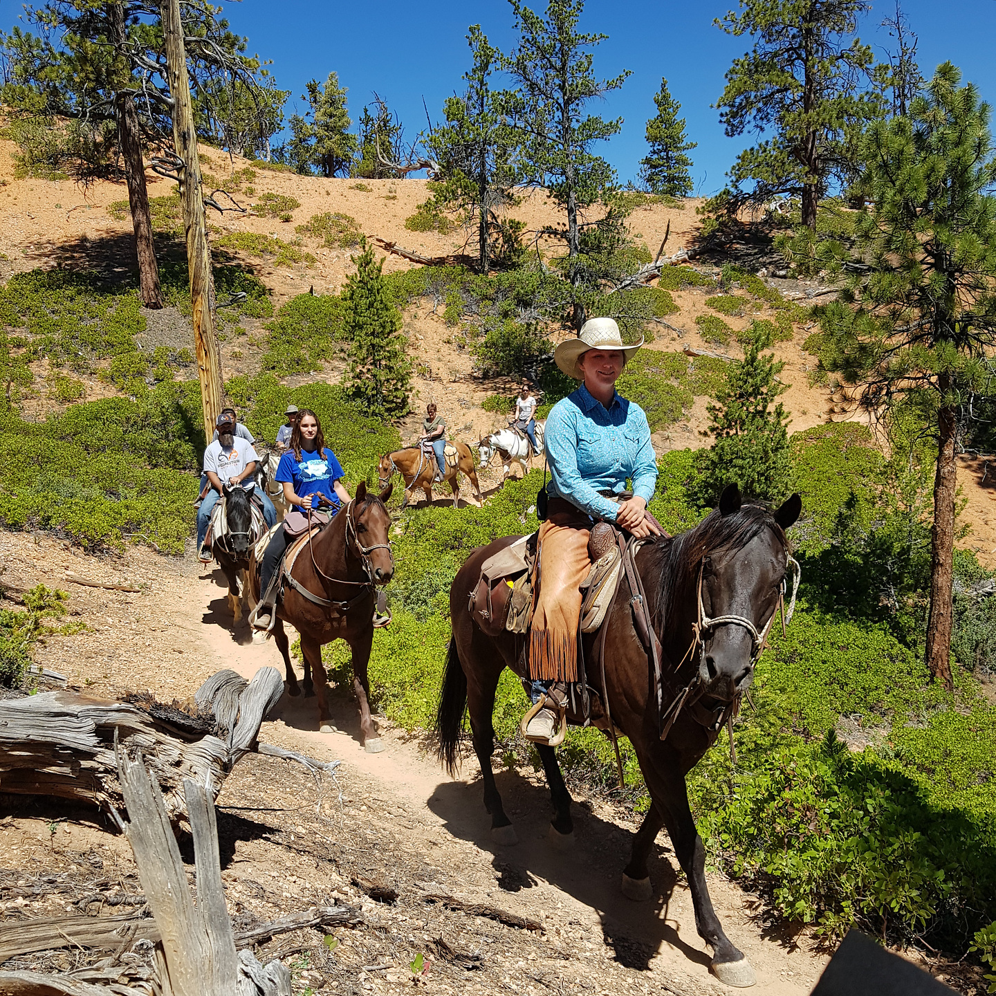 thundermountain-horses.jpg