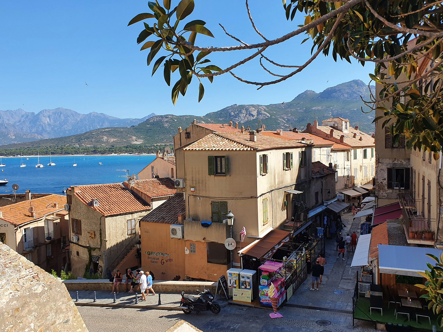calvi-town4.jpg