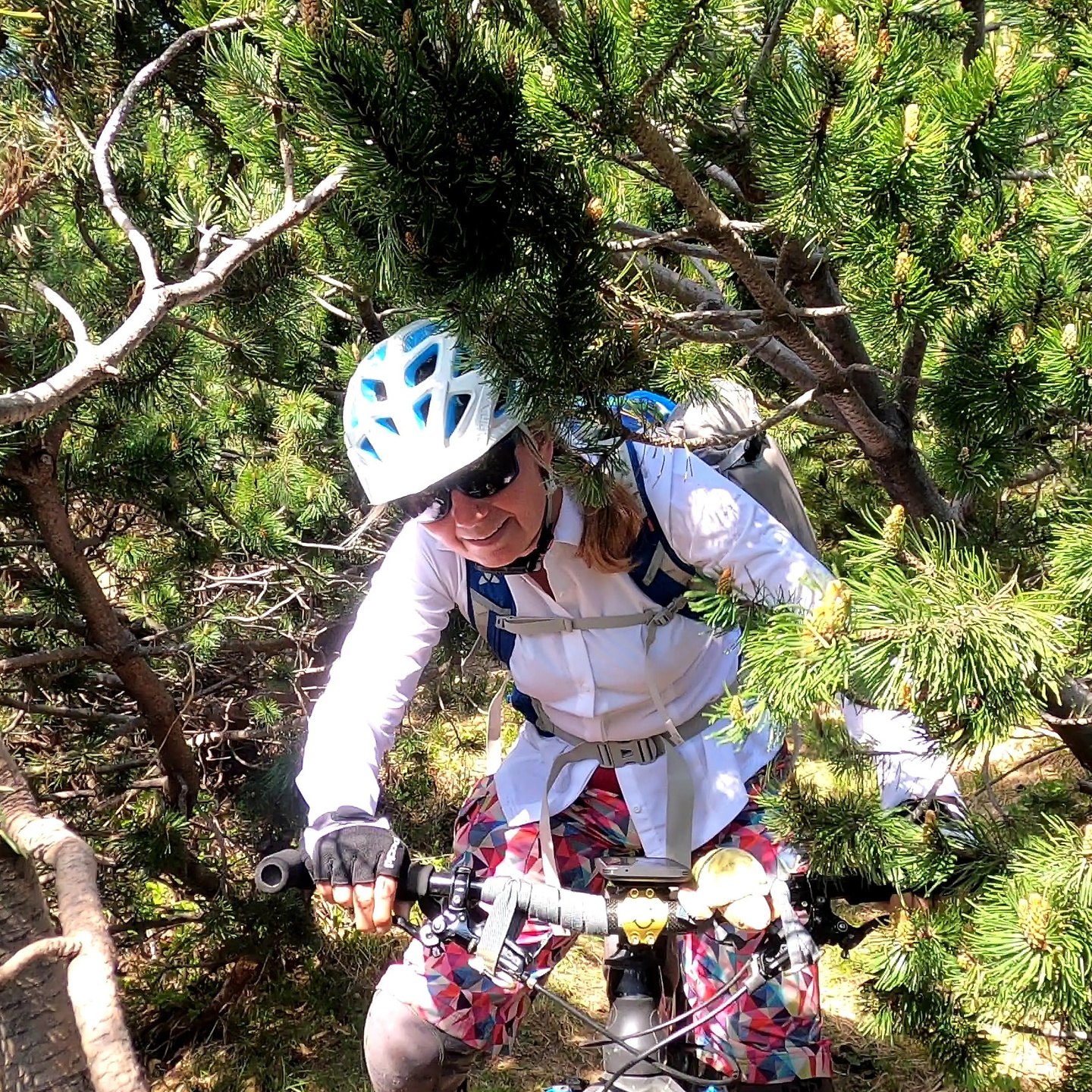 cimatauffi-trail17.jpg