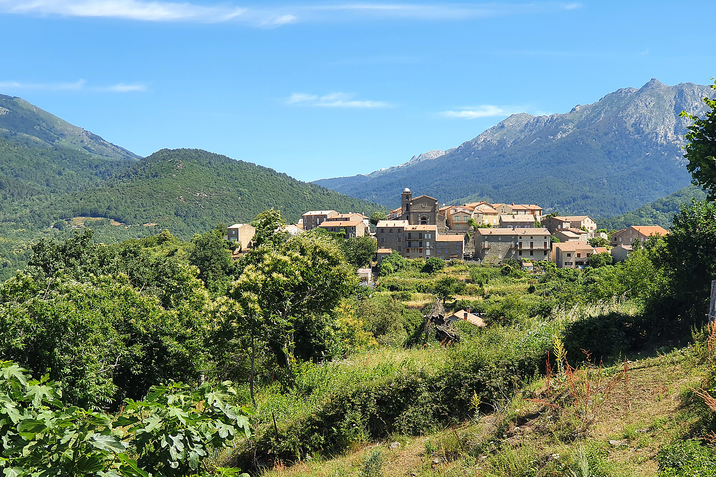 colverde-cozzano.jpg