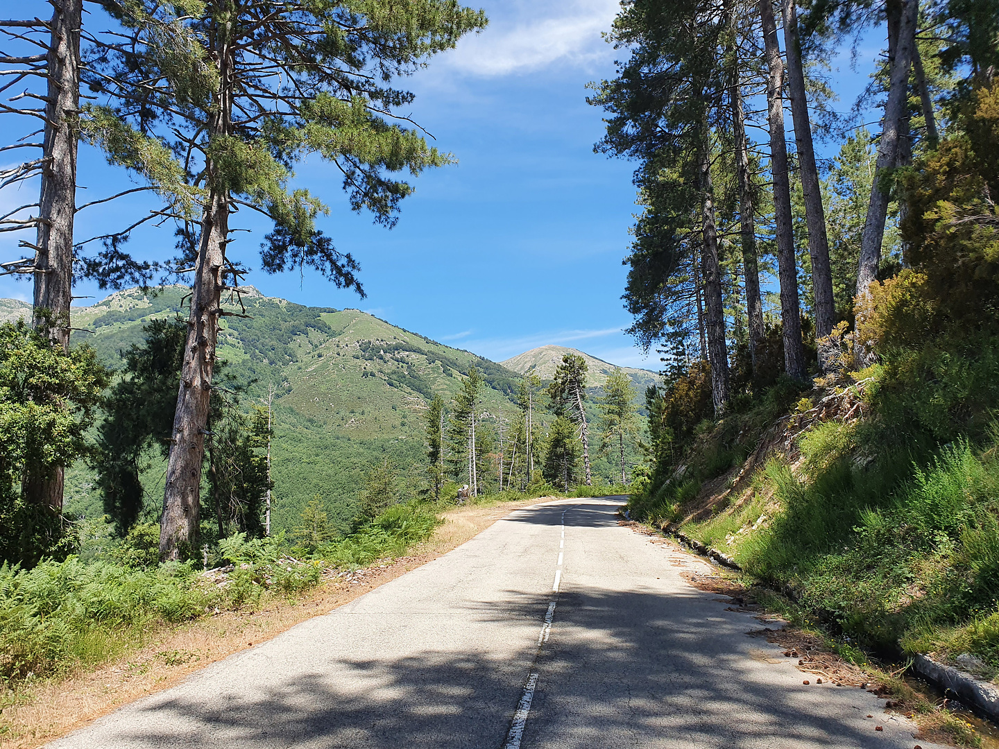 colverde-uphill1.jpg