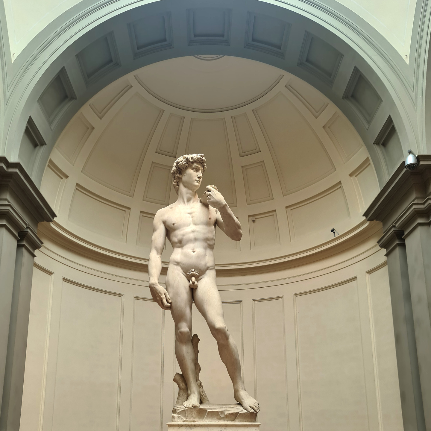 florenz-realdavid.jpg
