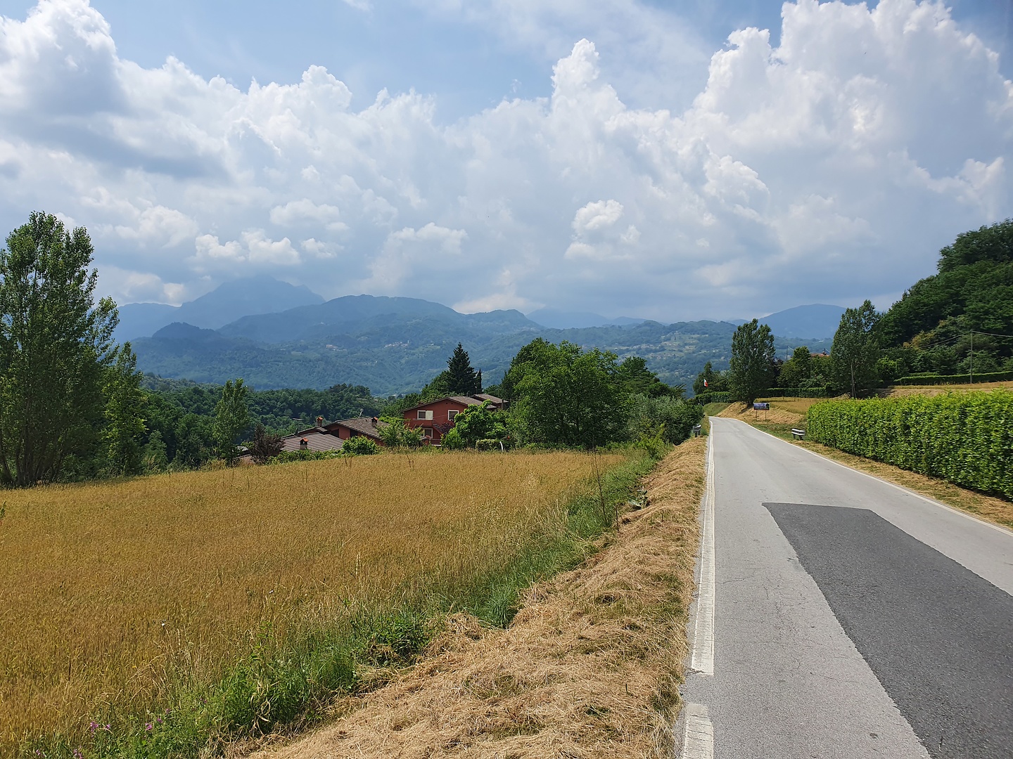 garfagnana-road1.jpg