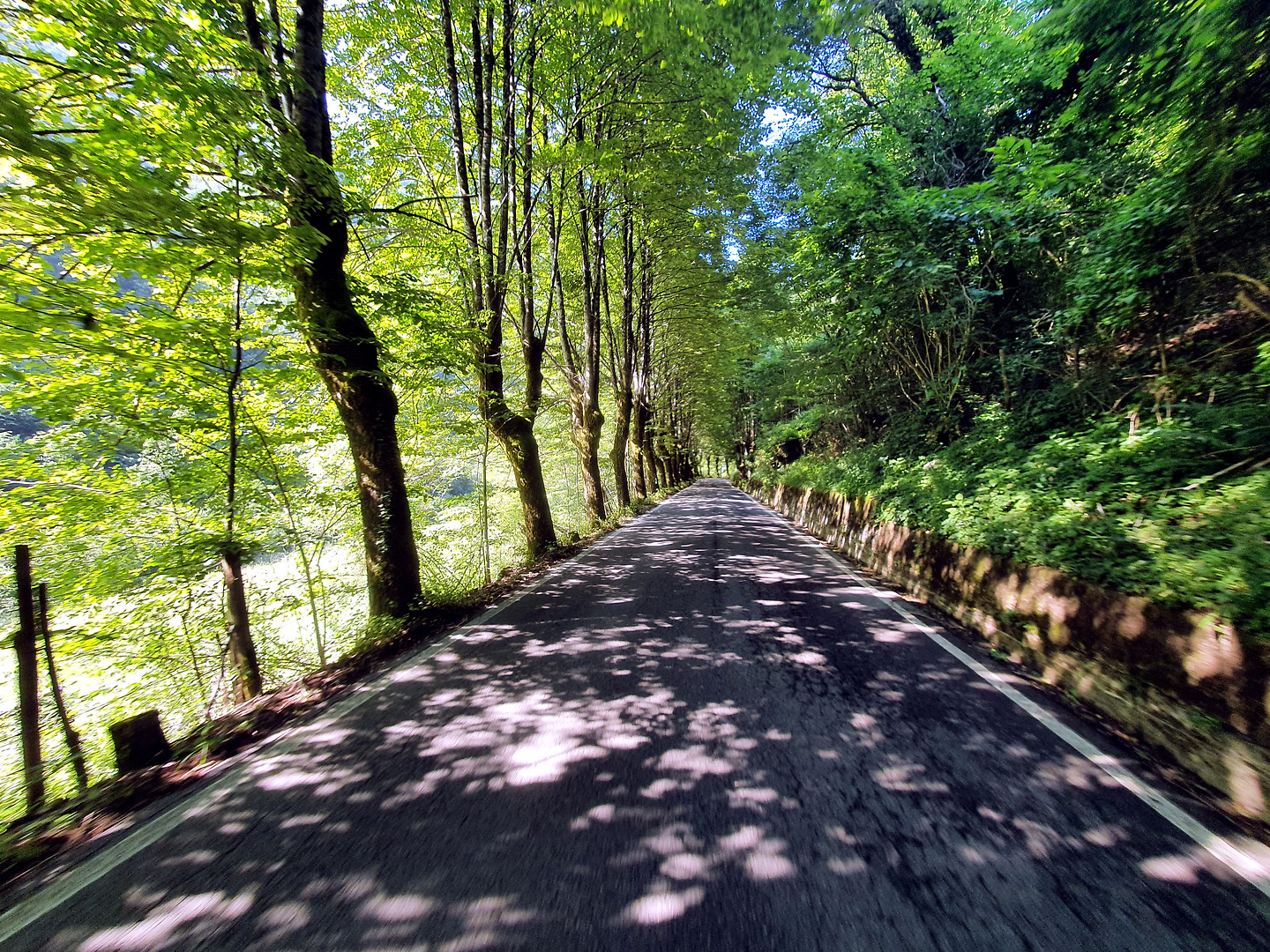 isola-road1.jpg