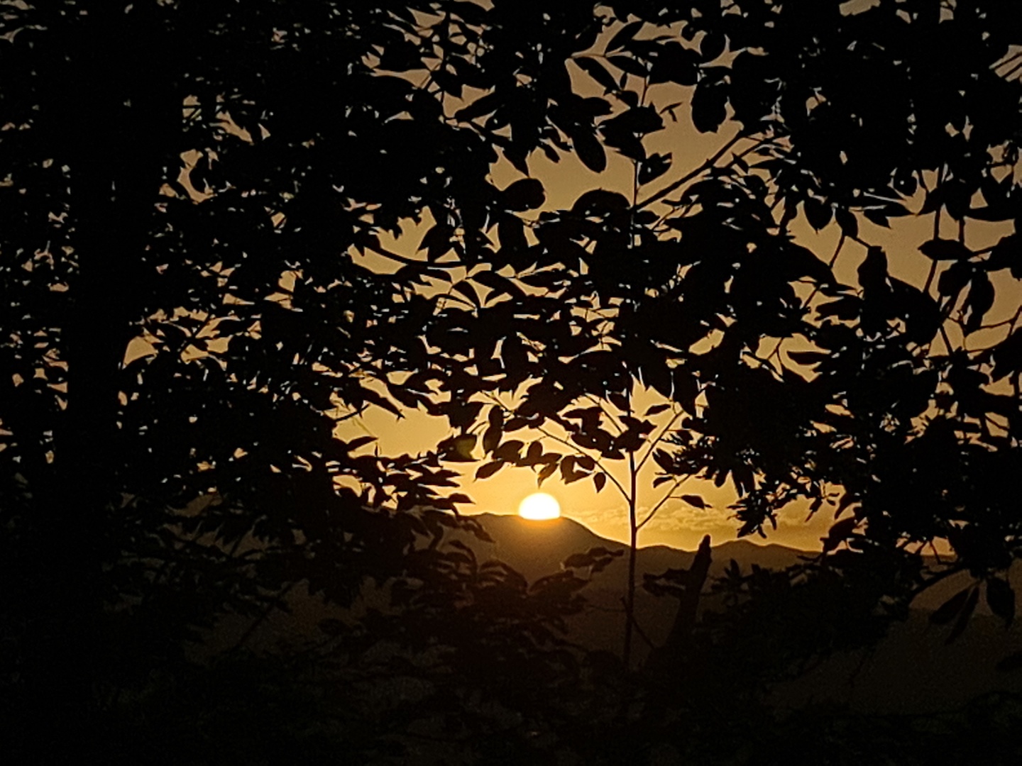 montallegro-sunrise.jpg