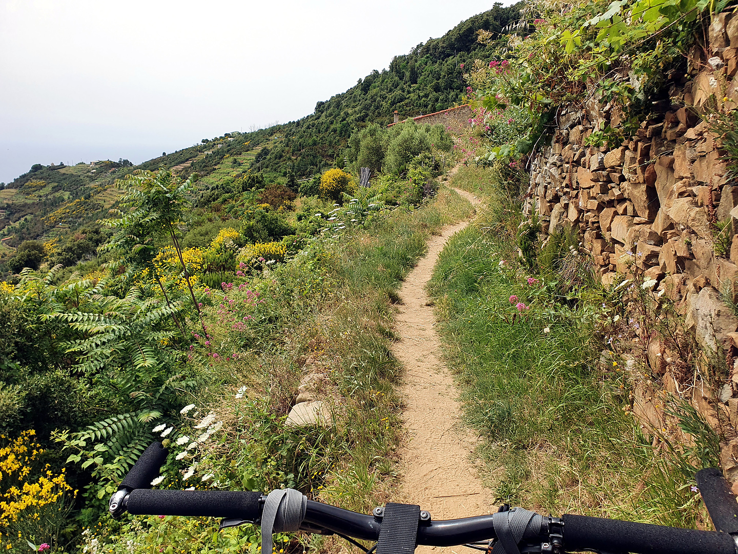 riomaggiore-trail2.jpg