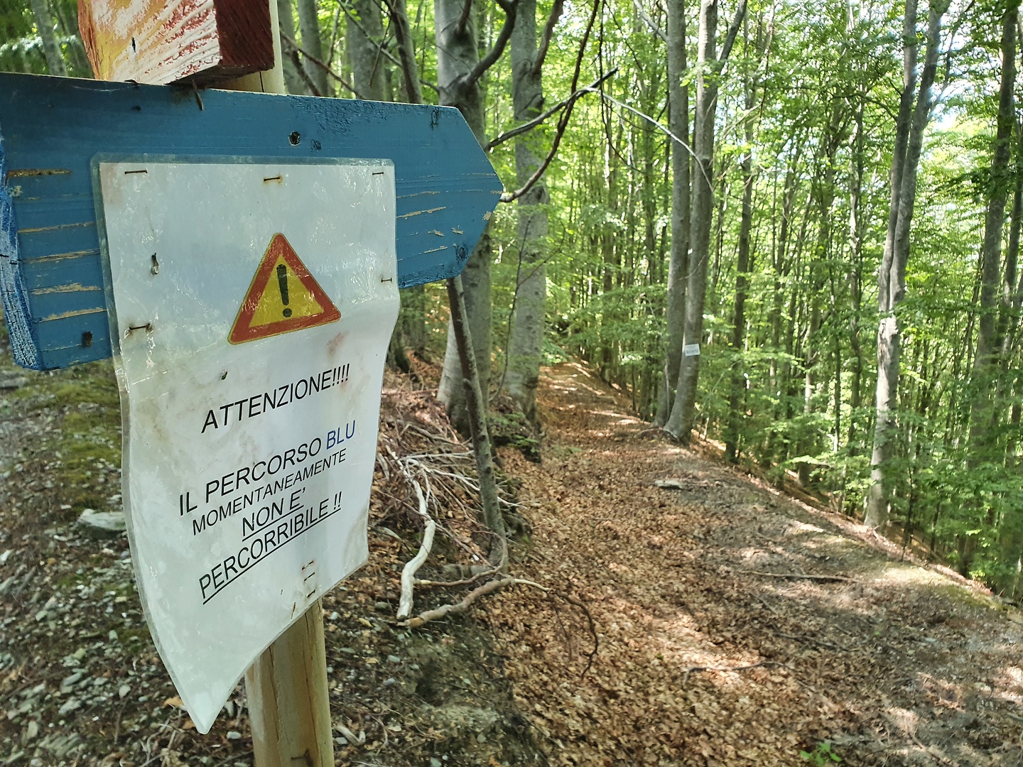 tribbio-trail1.jpg