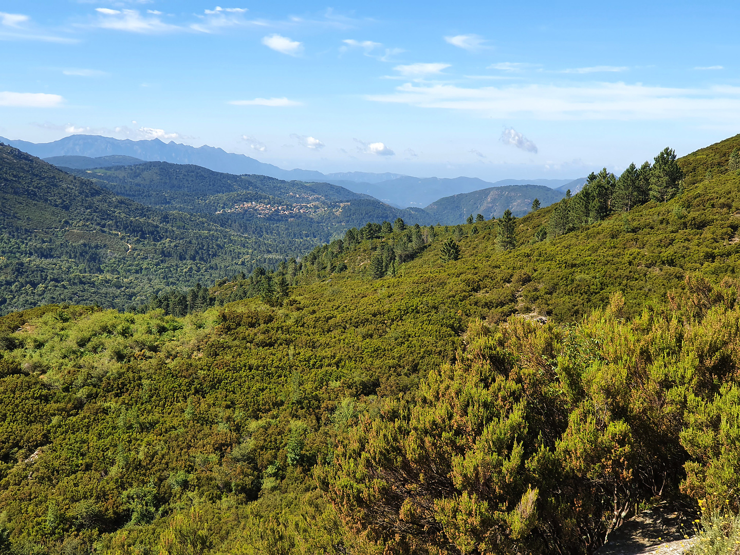 vaccia-uphill4.jpg
