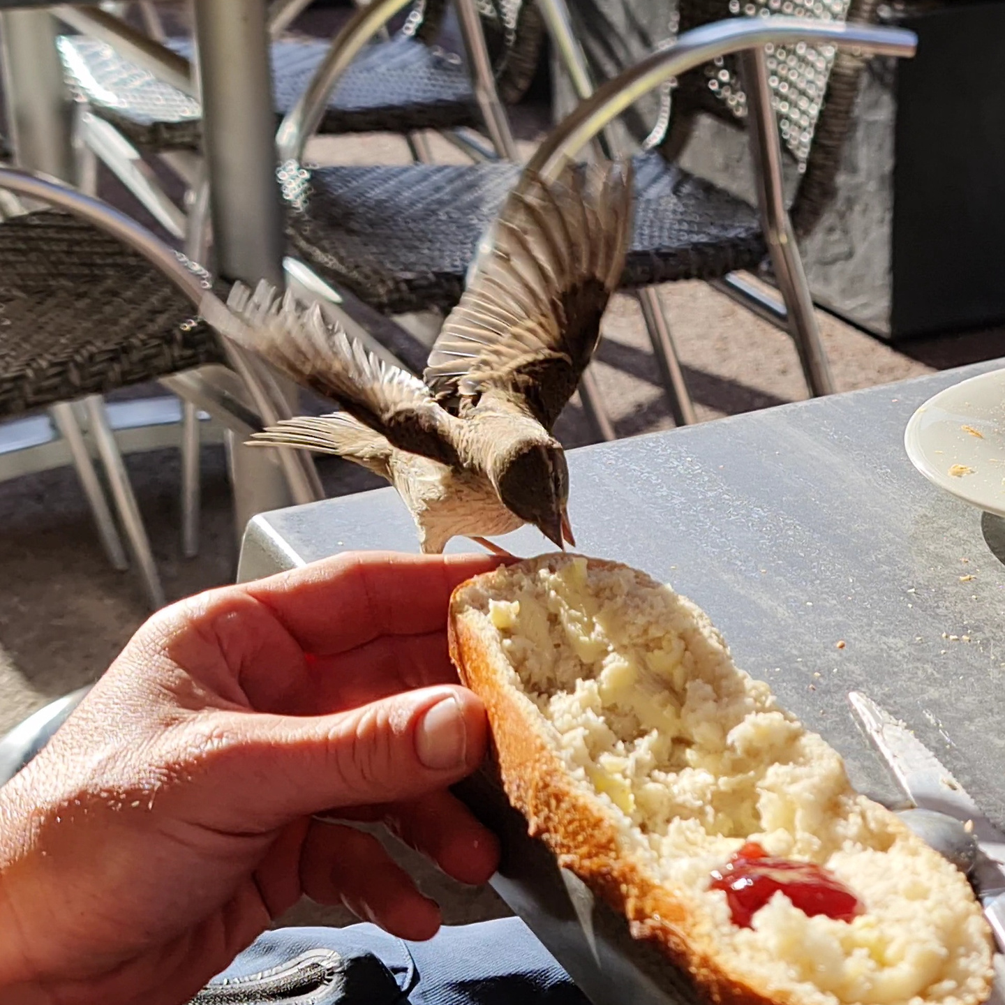 valloire-breakfast.jpg