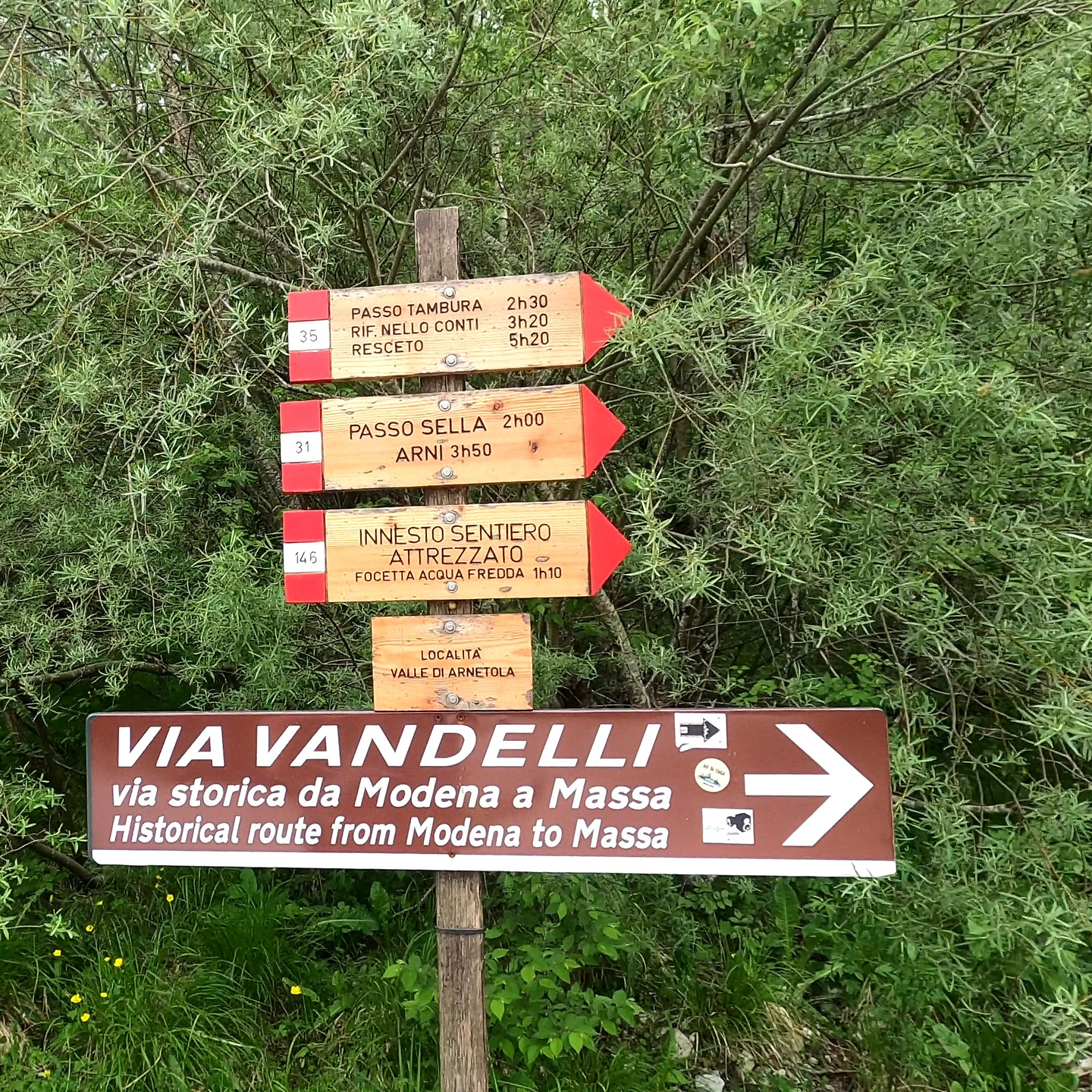 vandelli-sign1.jpg