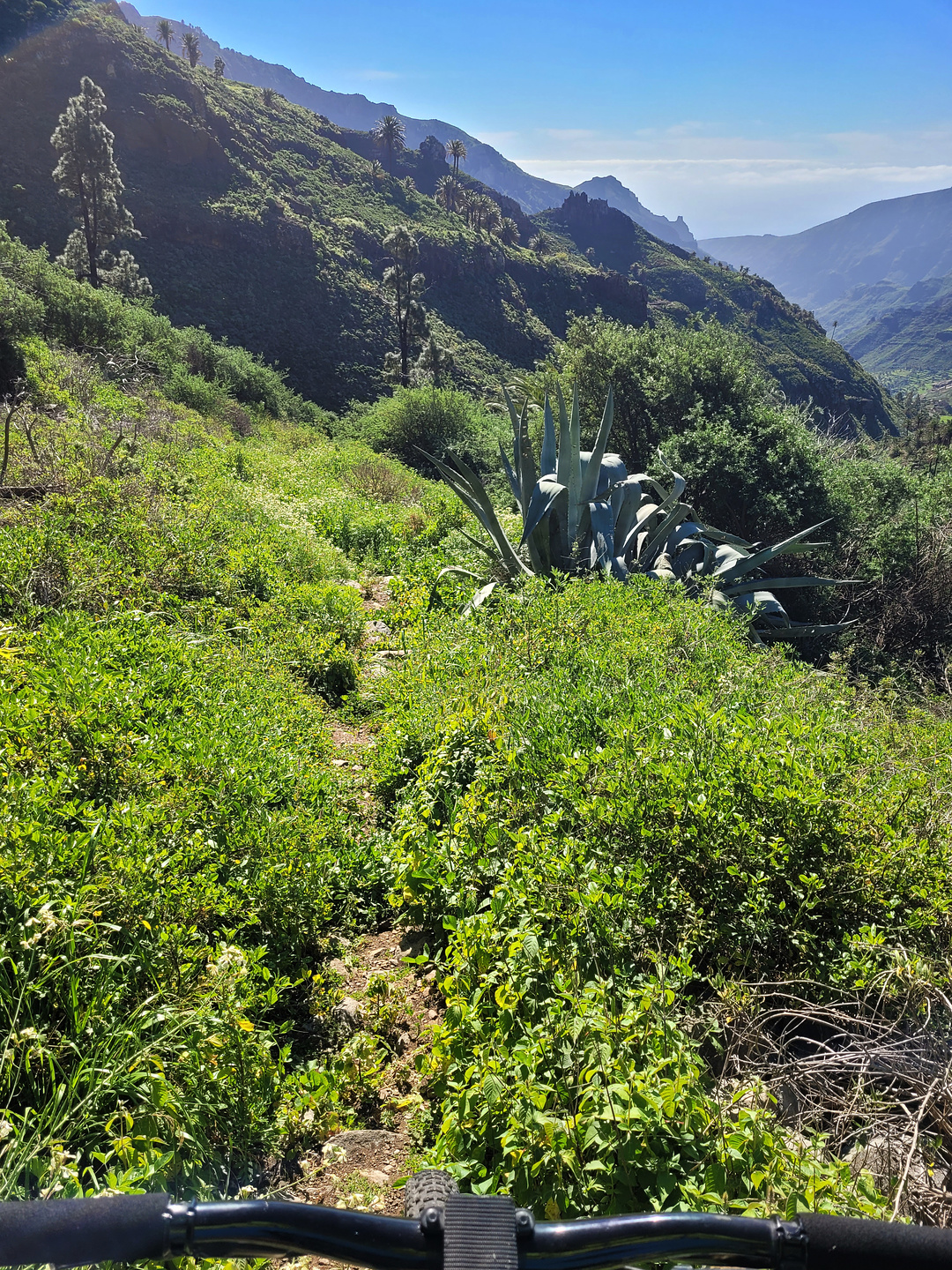 agando-trail3.jpg