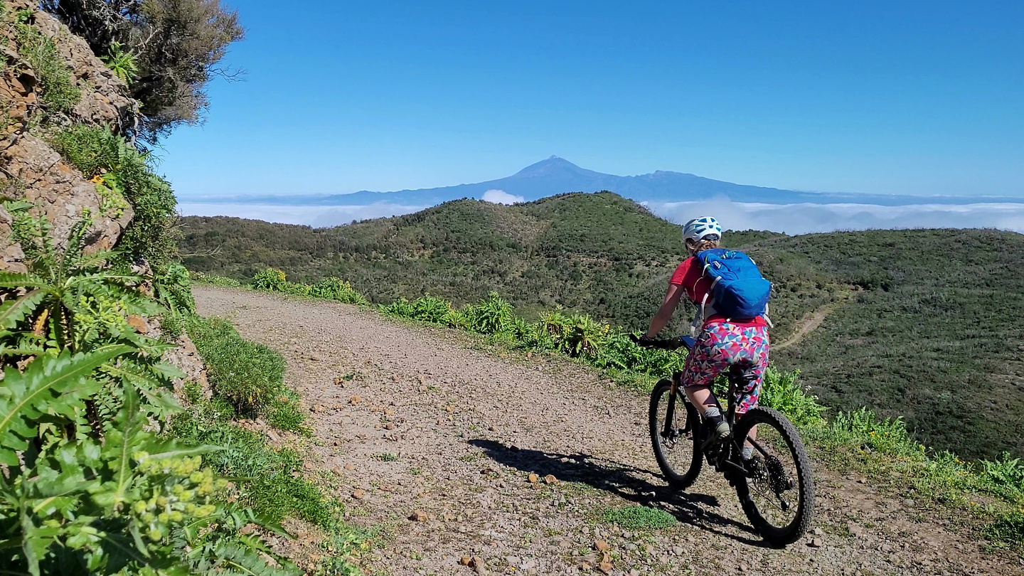 altogarajo-bike9.jpg