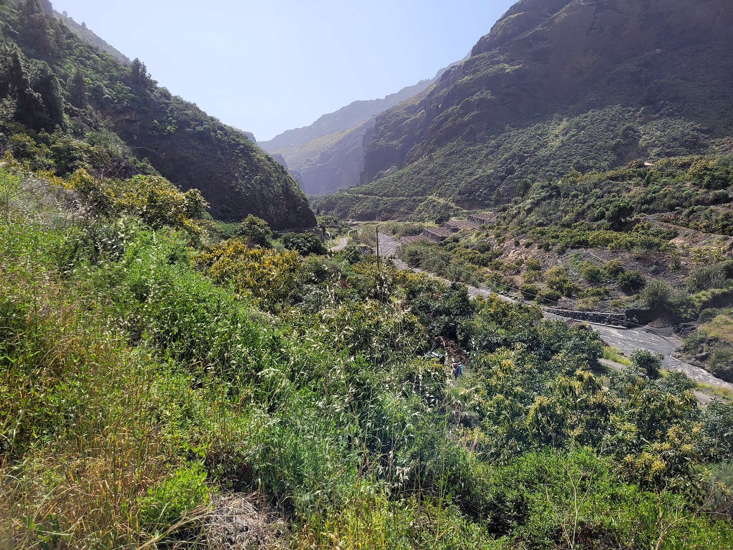 angustias-trail2.jpg