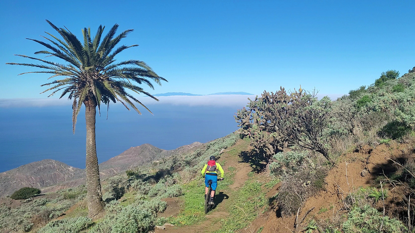 arguamul-trail1.jpg