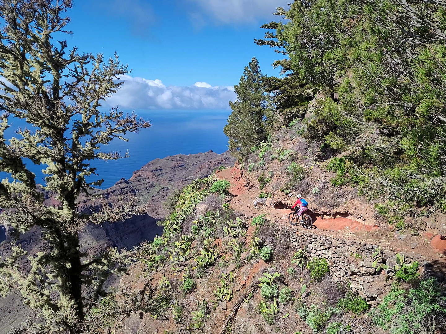 aruresanto-trail5.jpg