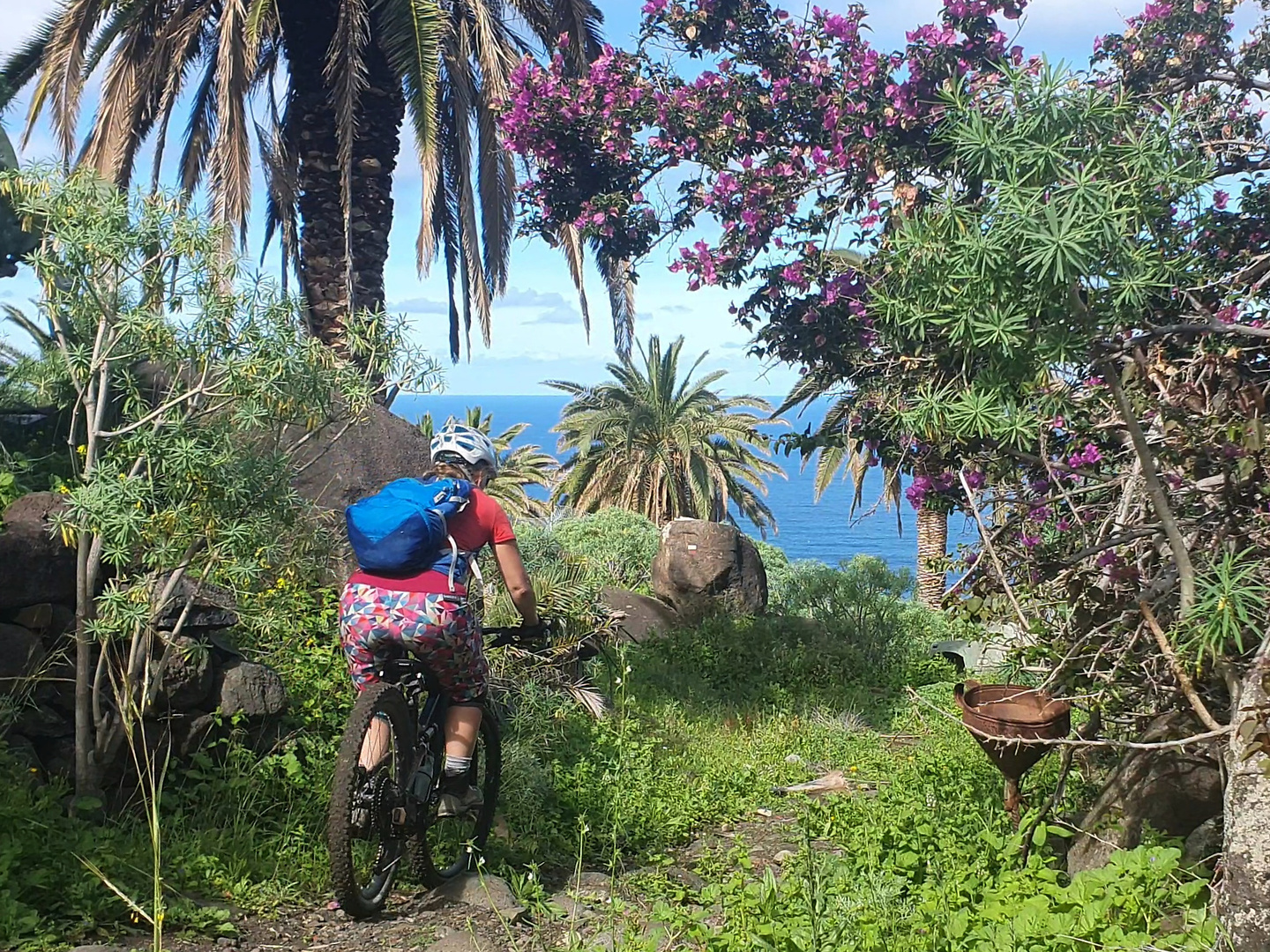 azucar-trail7.jpg