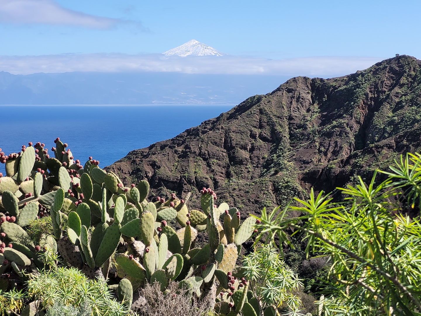 azucar-uphill2.jpg