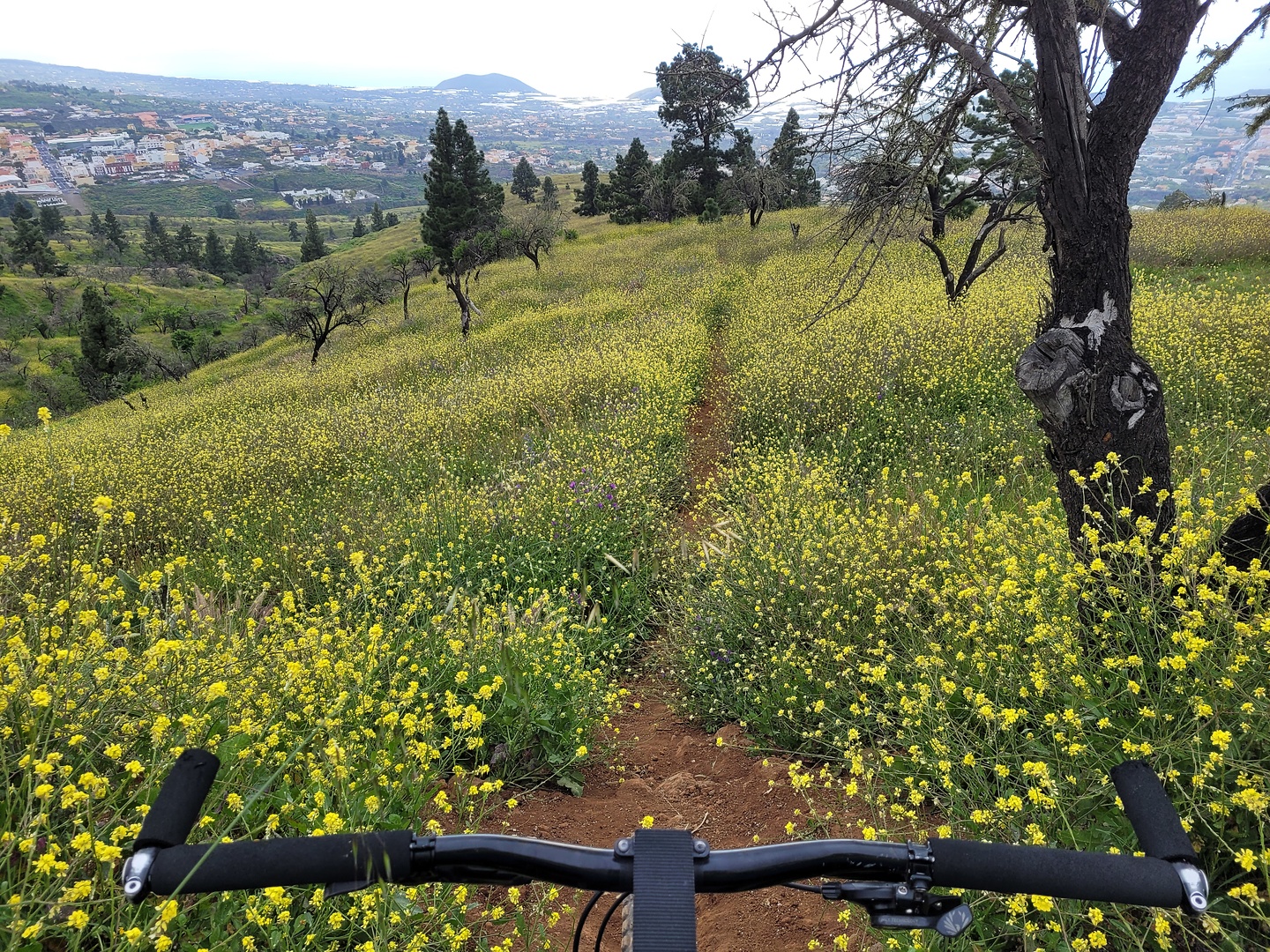 bejenado-trail2.jpg