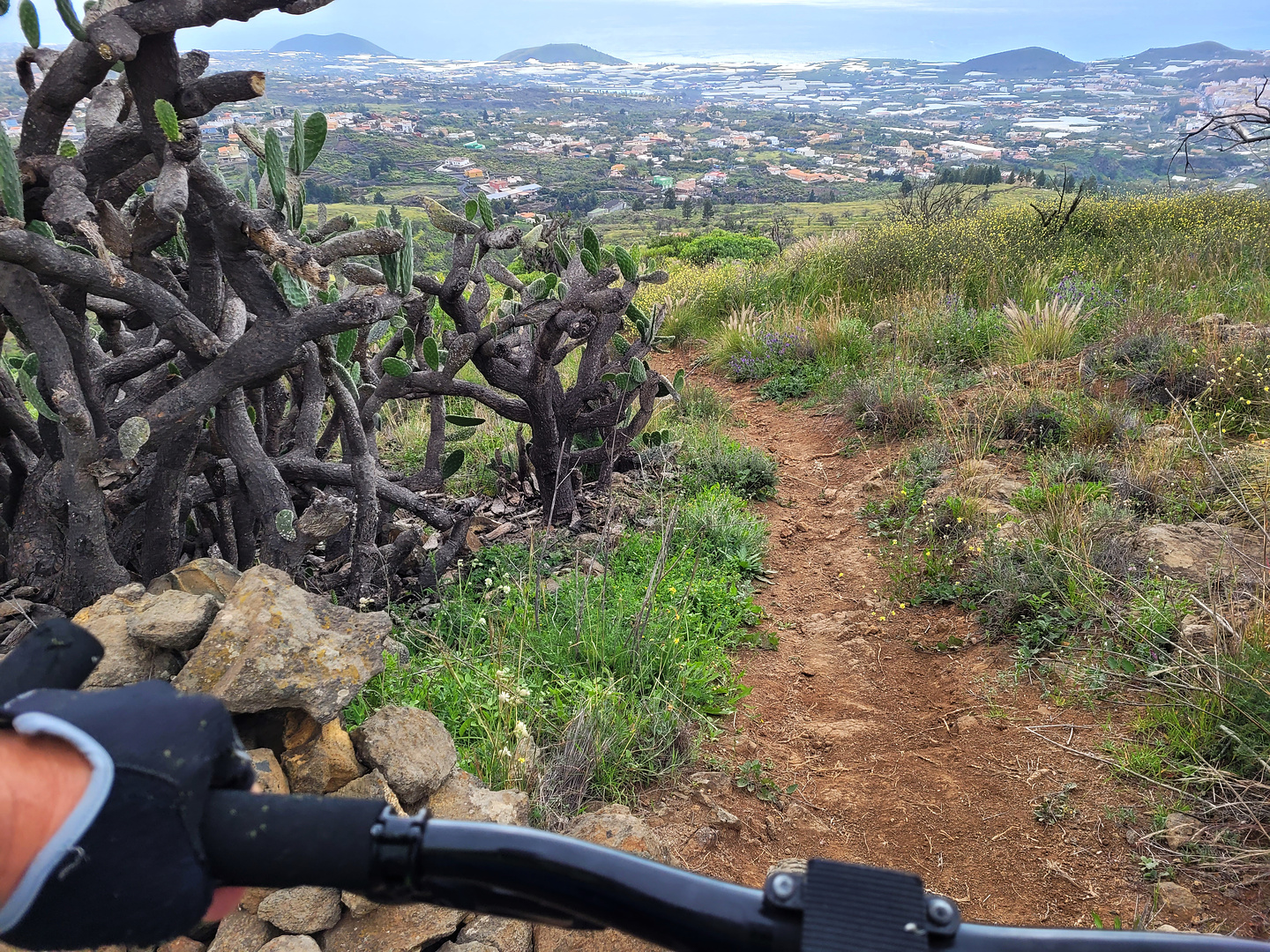 bejenado-trail3.jpg