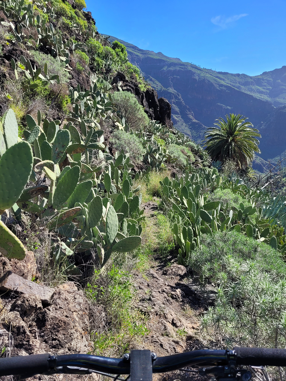 benchijigua-trail2.jpg