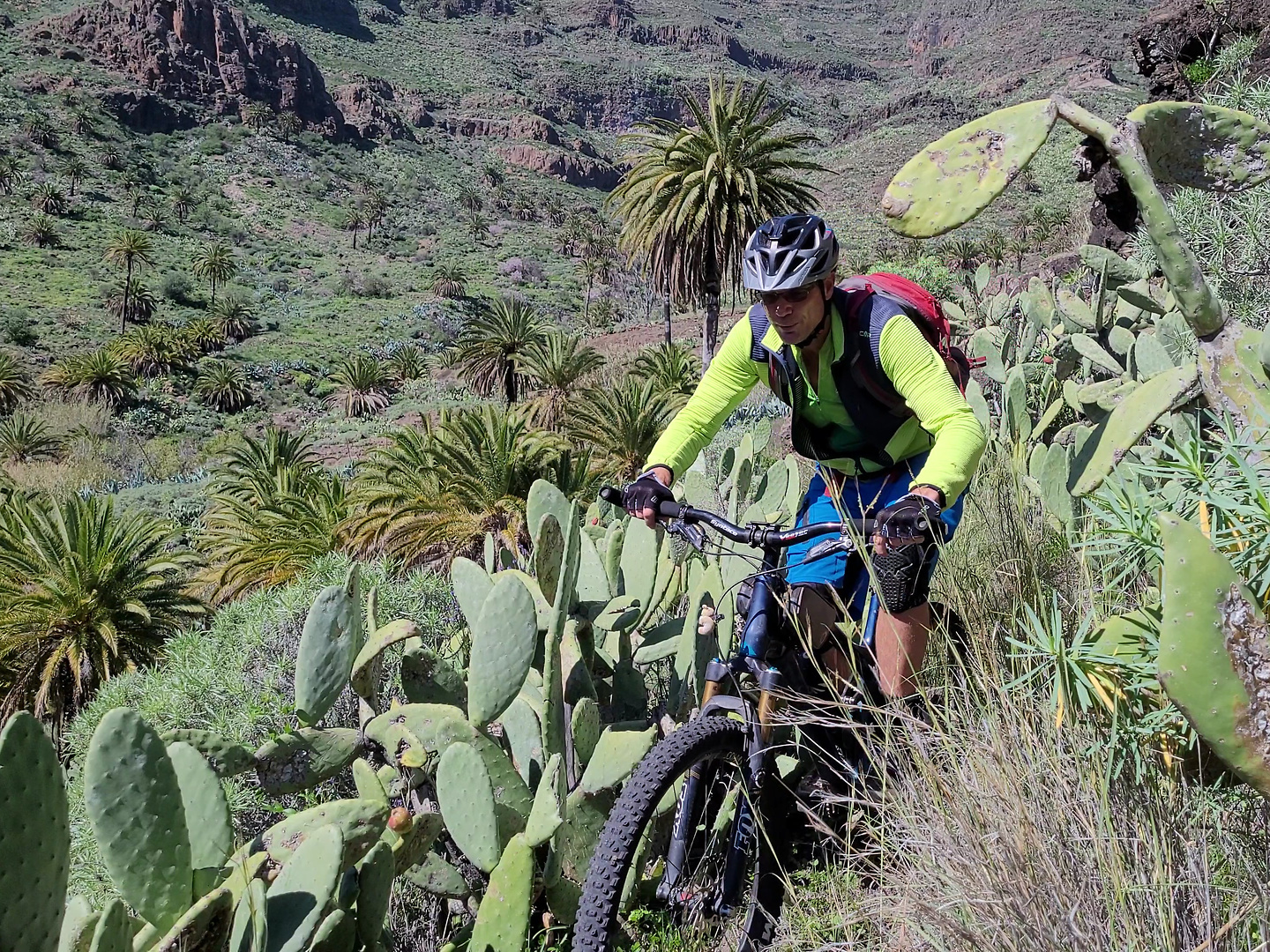 benchijigua-trail3.jpg